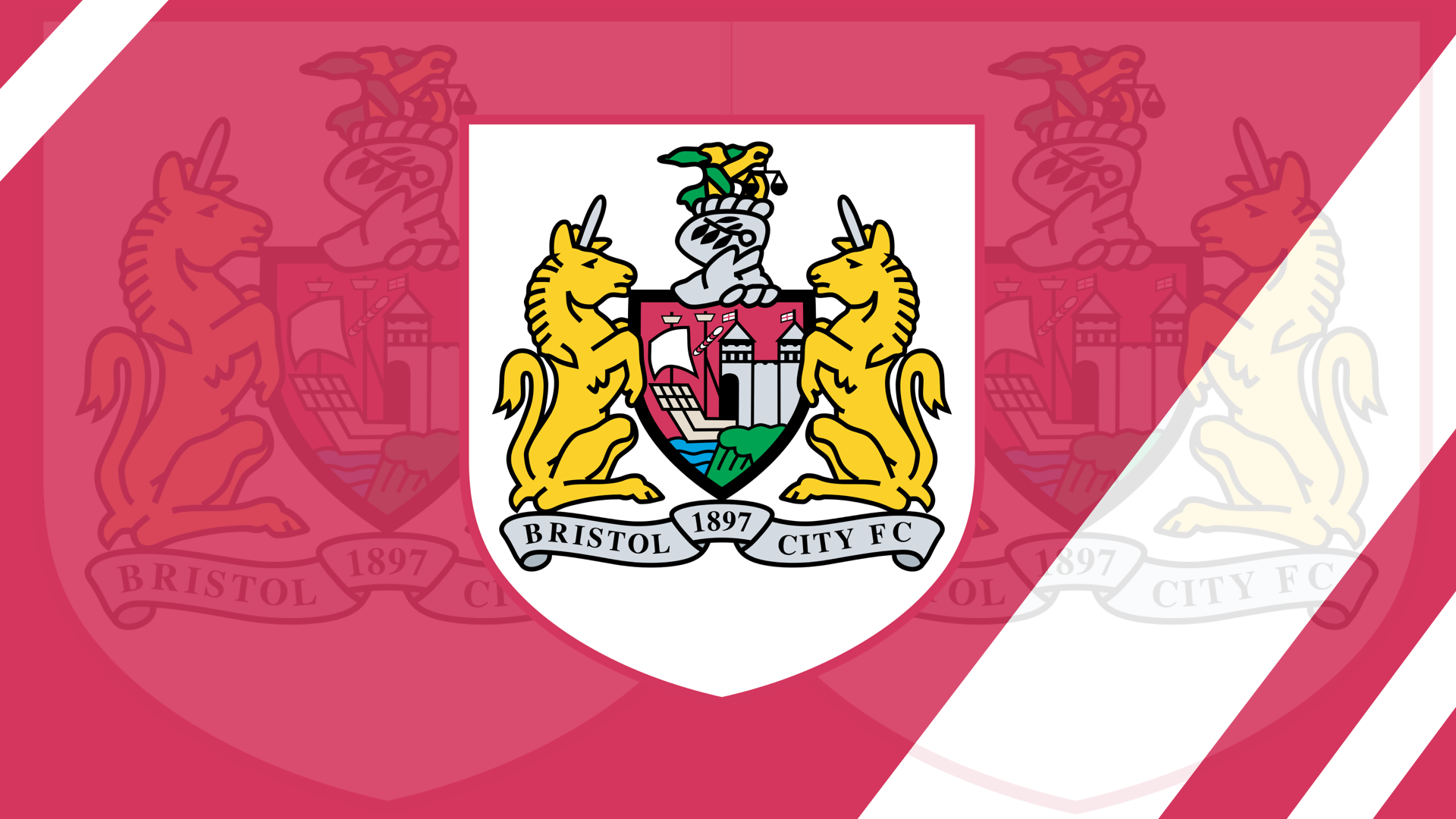 Bristol City F.C. Wallpapers