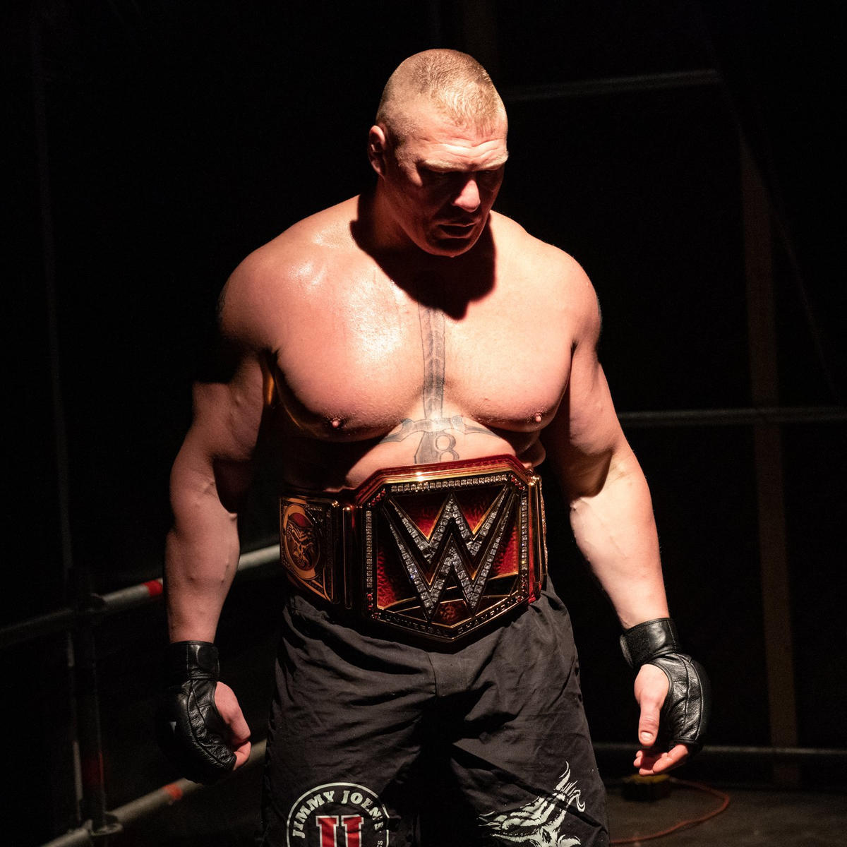 Brock Lesnar Wallpapers