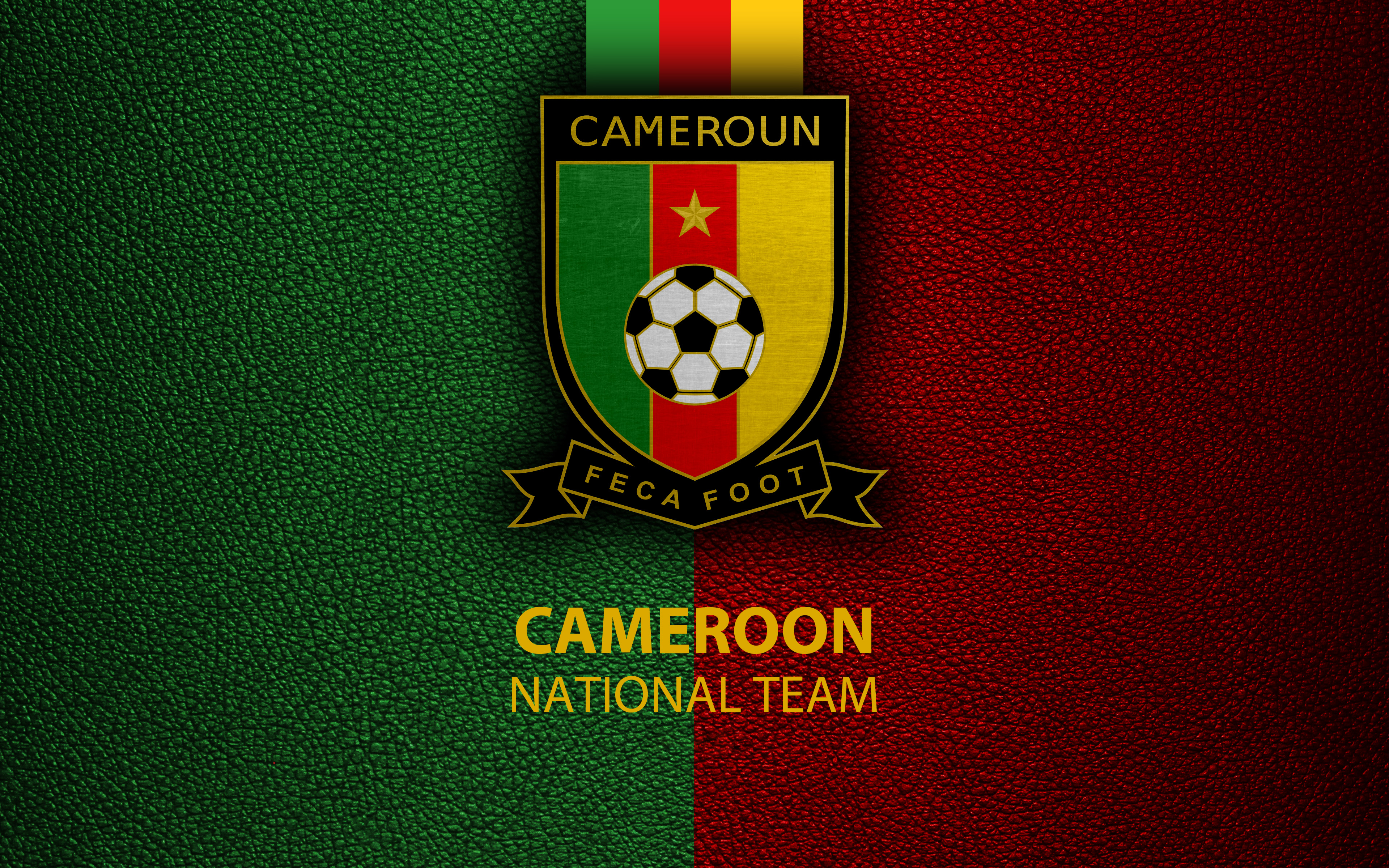 Cameroon National Football Team Wallpapers