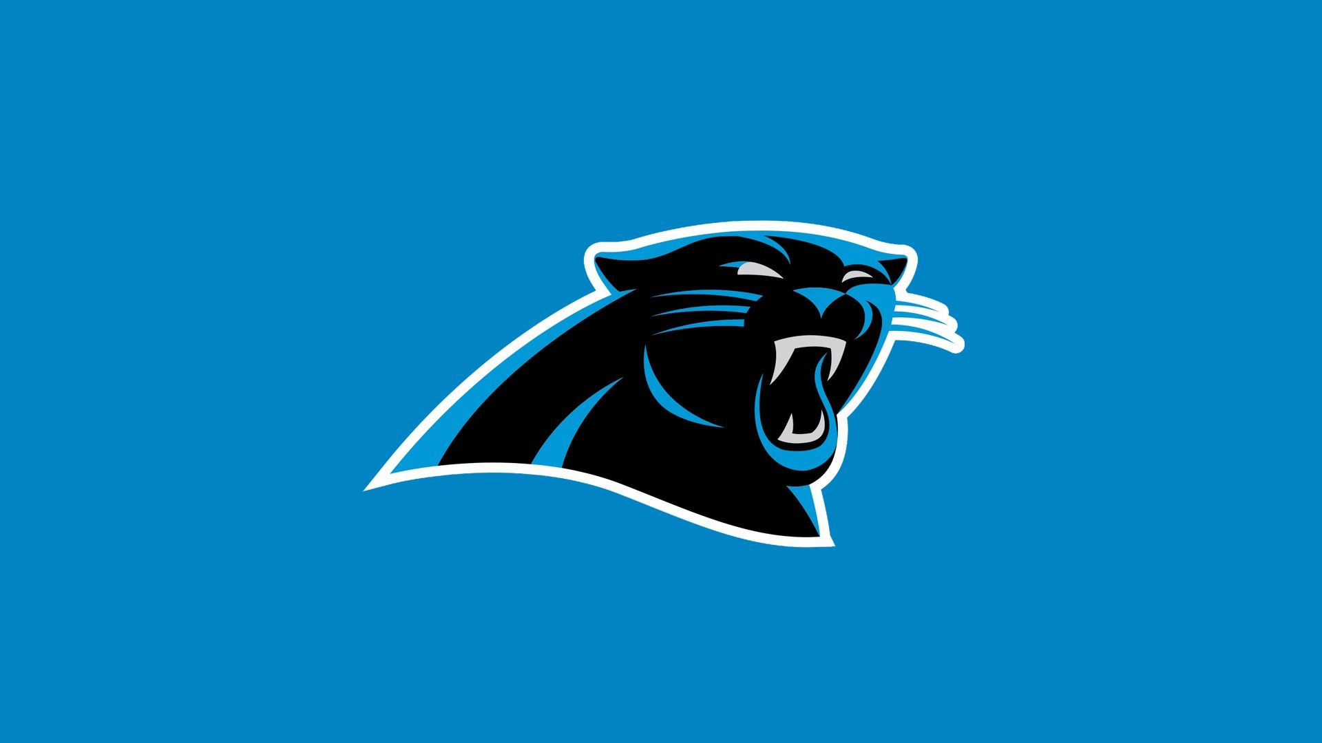 Carolina Panthers Wallpapers