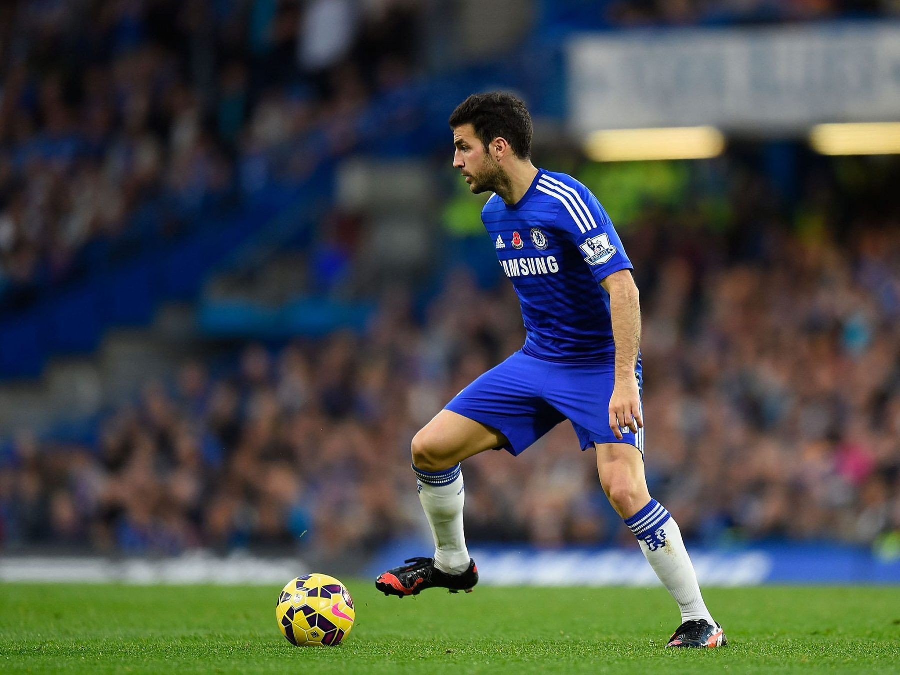 Cesc Fabregas Wallpapers