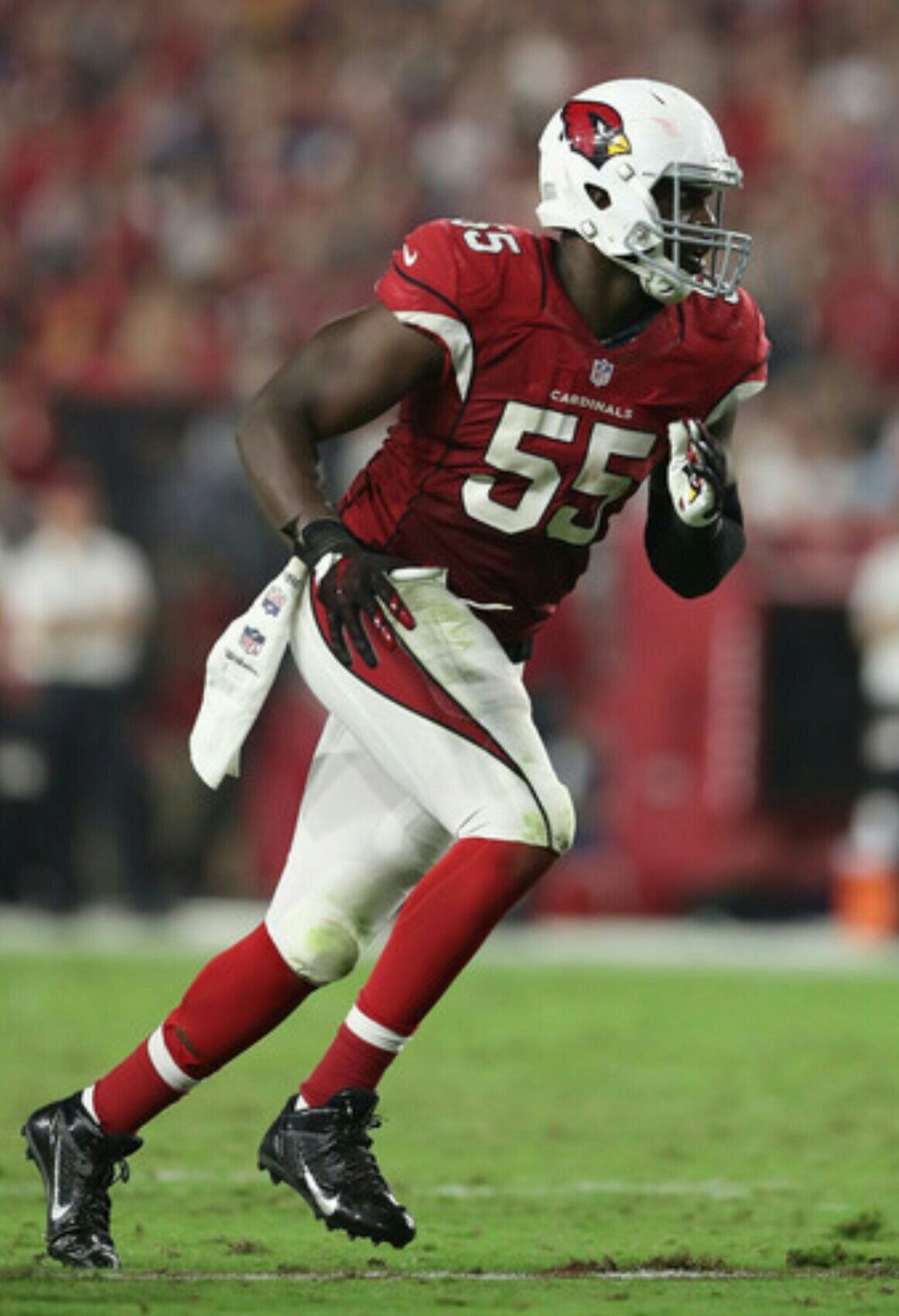 Chandler Jones Wallpapers