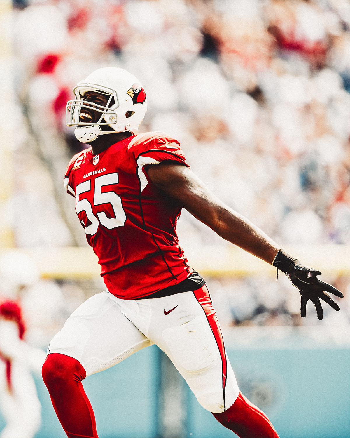 Chandler Jones Wallpapers