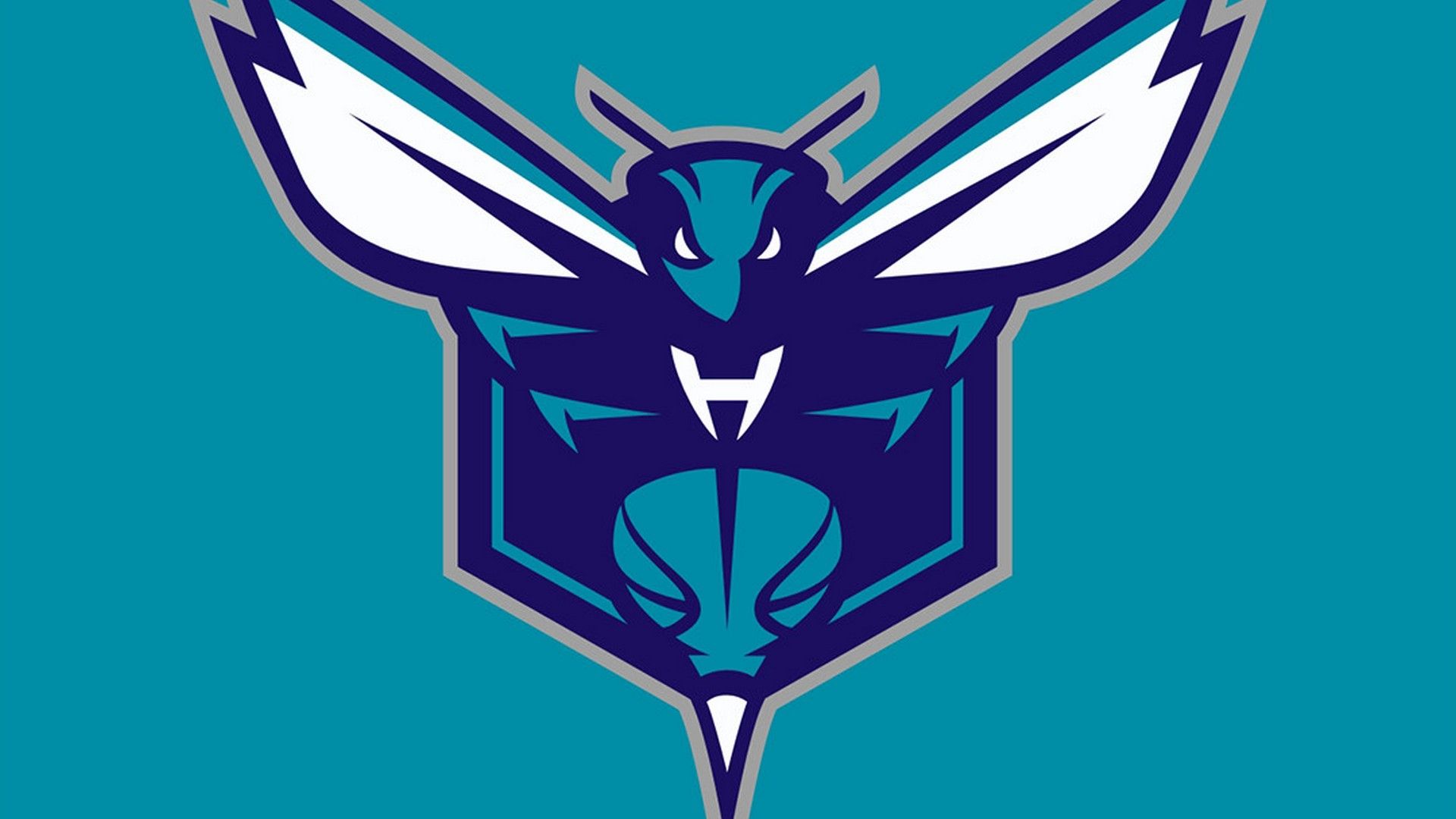 Charlotte Hornets Wallpapers