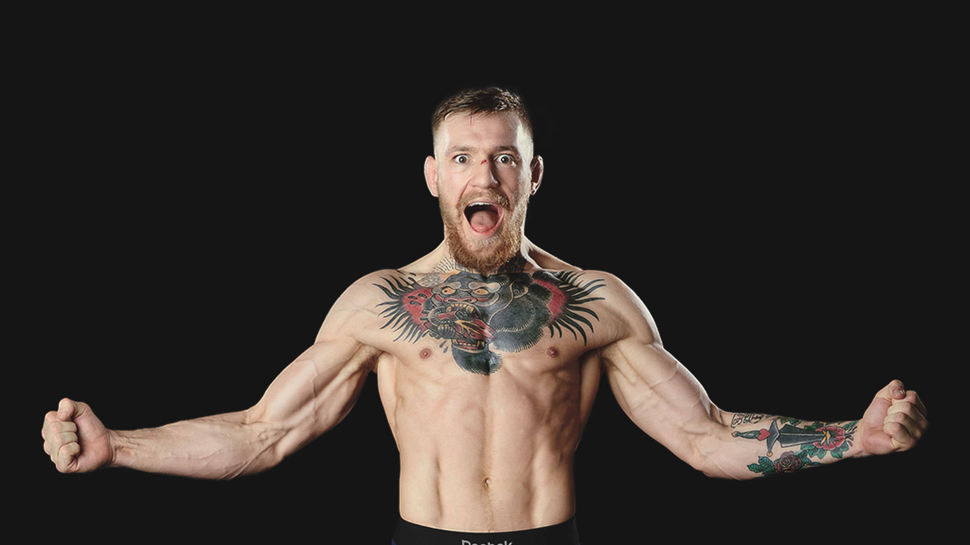 Conor Mcgregor Wallpapers