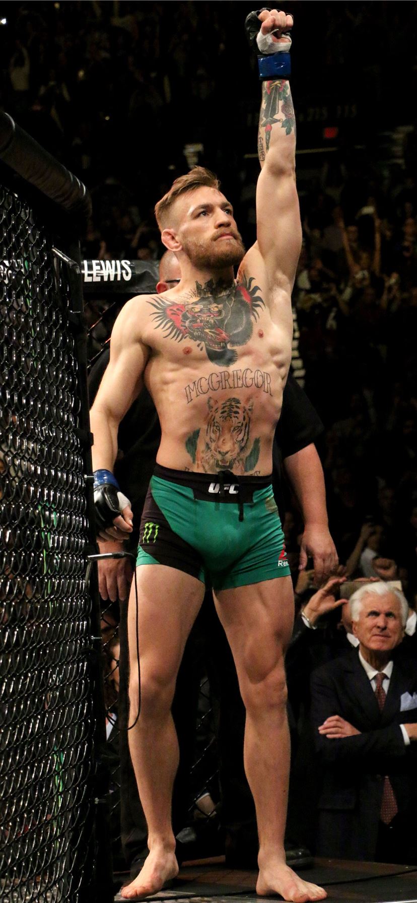 Conor Mcgregor Wallpapers