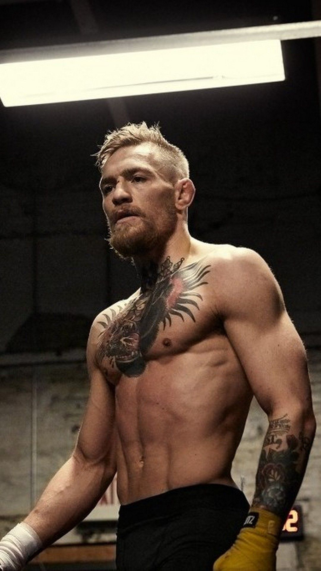 Conor Mcgregor Iphone Wallpapers