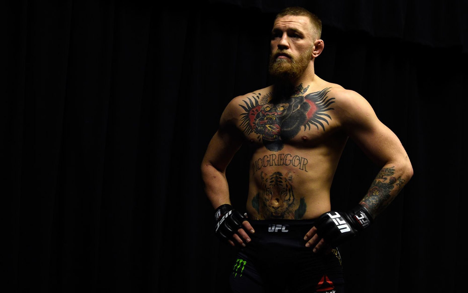 Conor Mcgregor Ufc Fighter Wallpapers