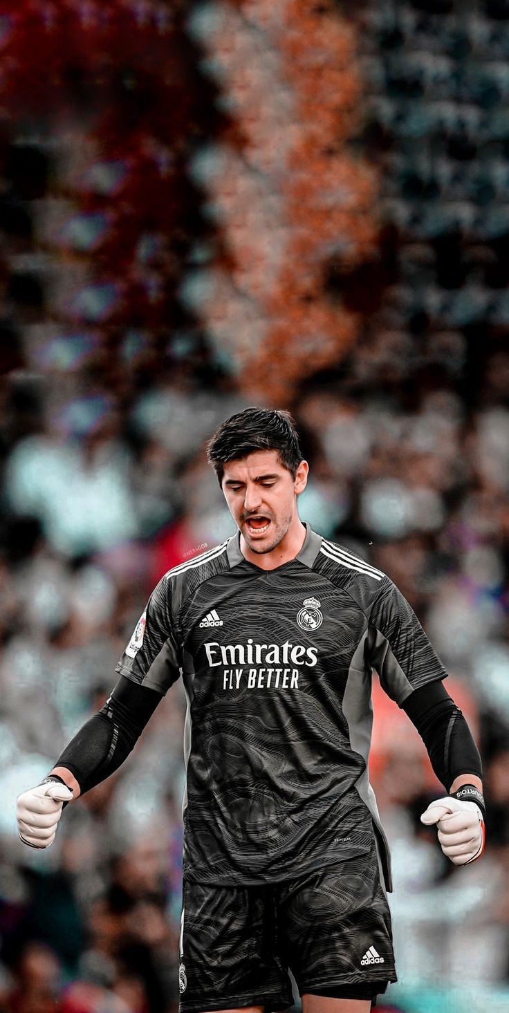 Courtois Wallpapers