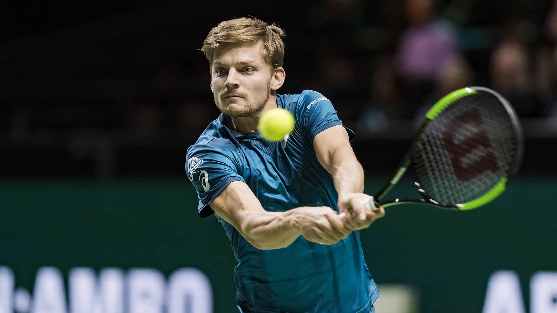 David Goffin Wallpapers