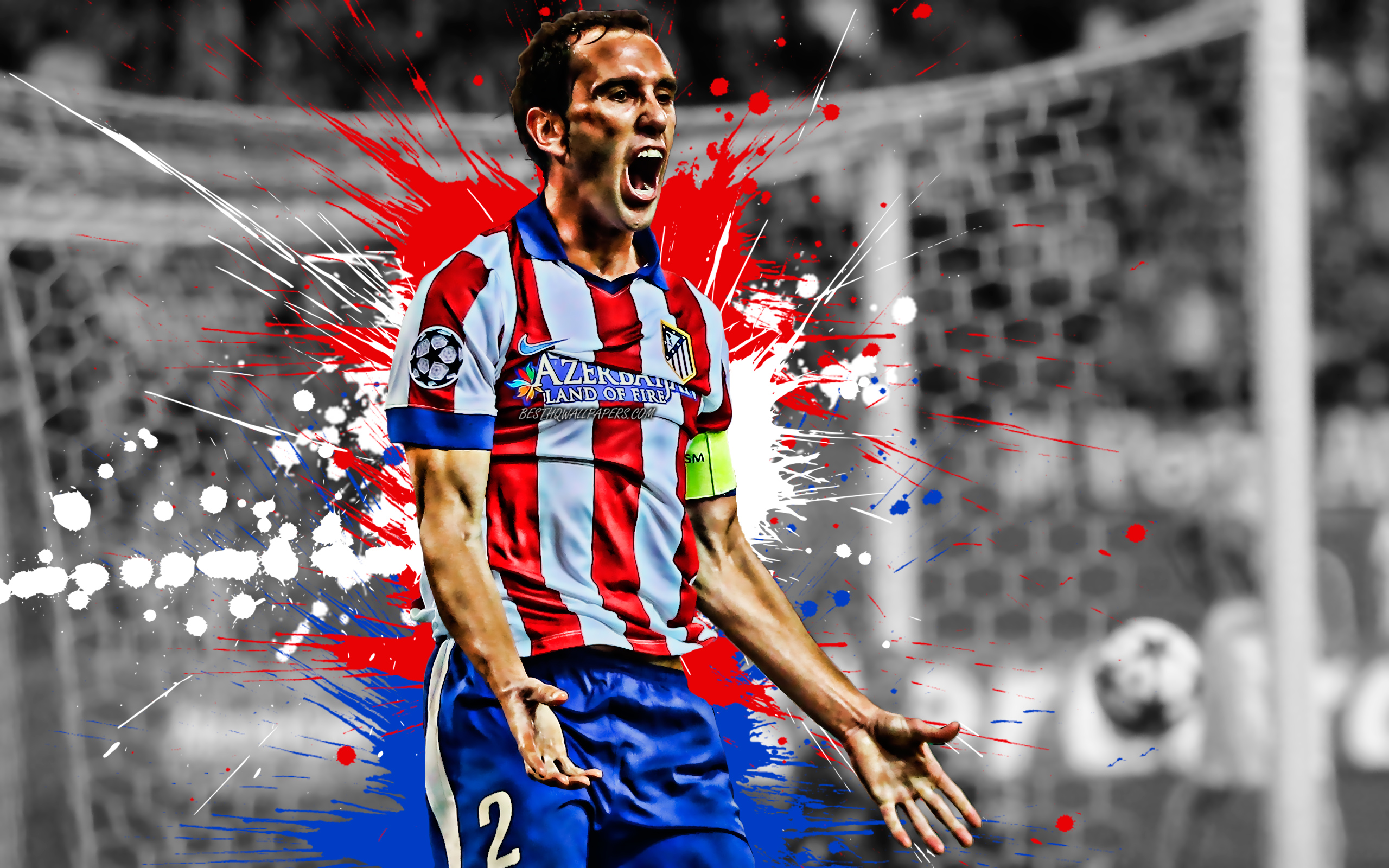 Diego Godin Wallpapers