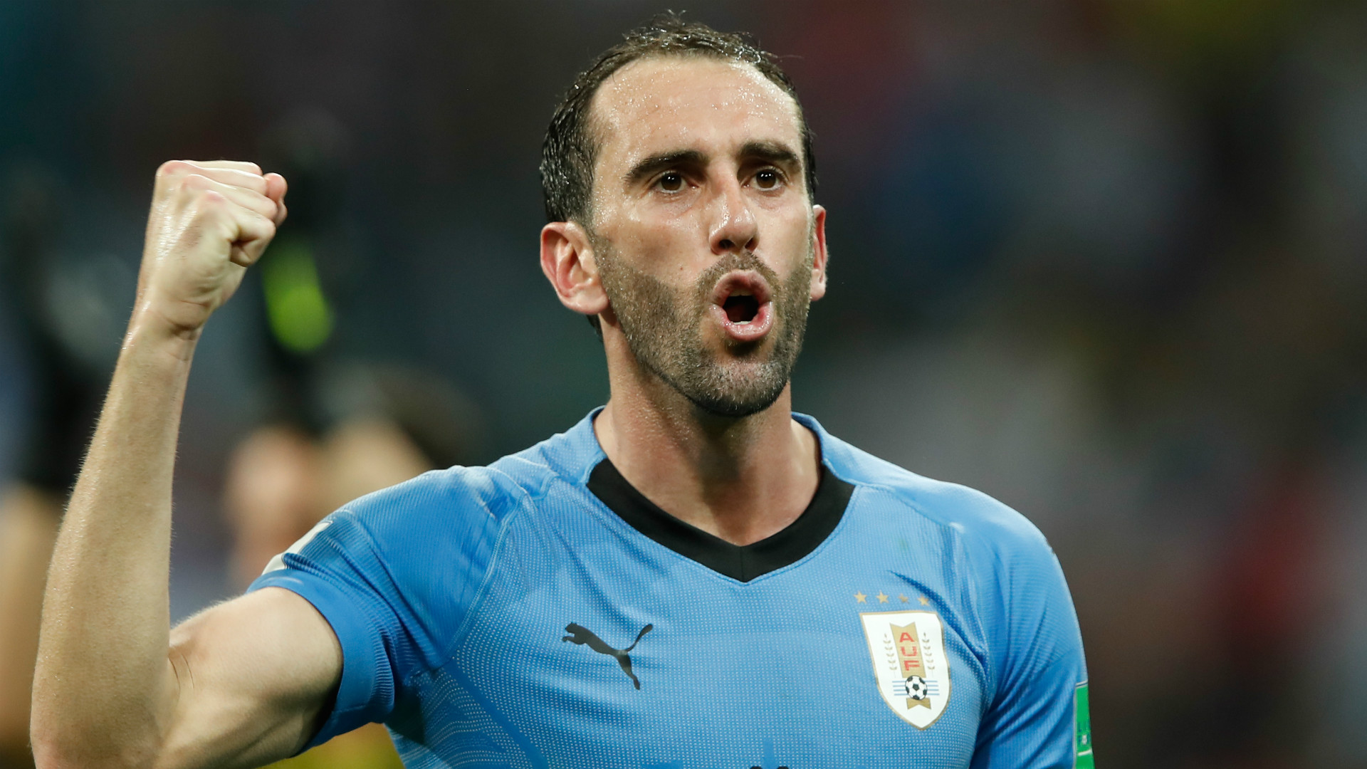 Diego Godin Wallpapers