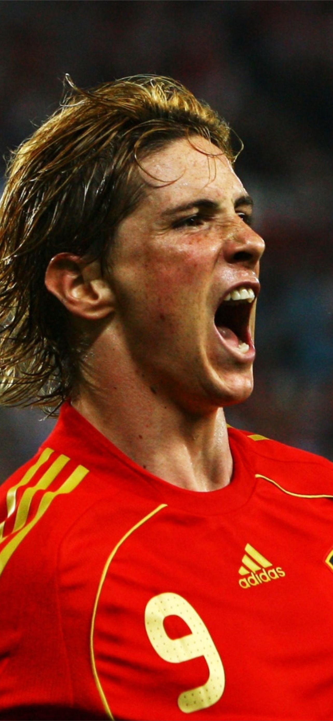 Fernando Torres Wallpapers