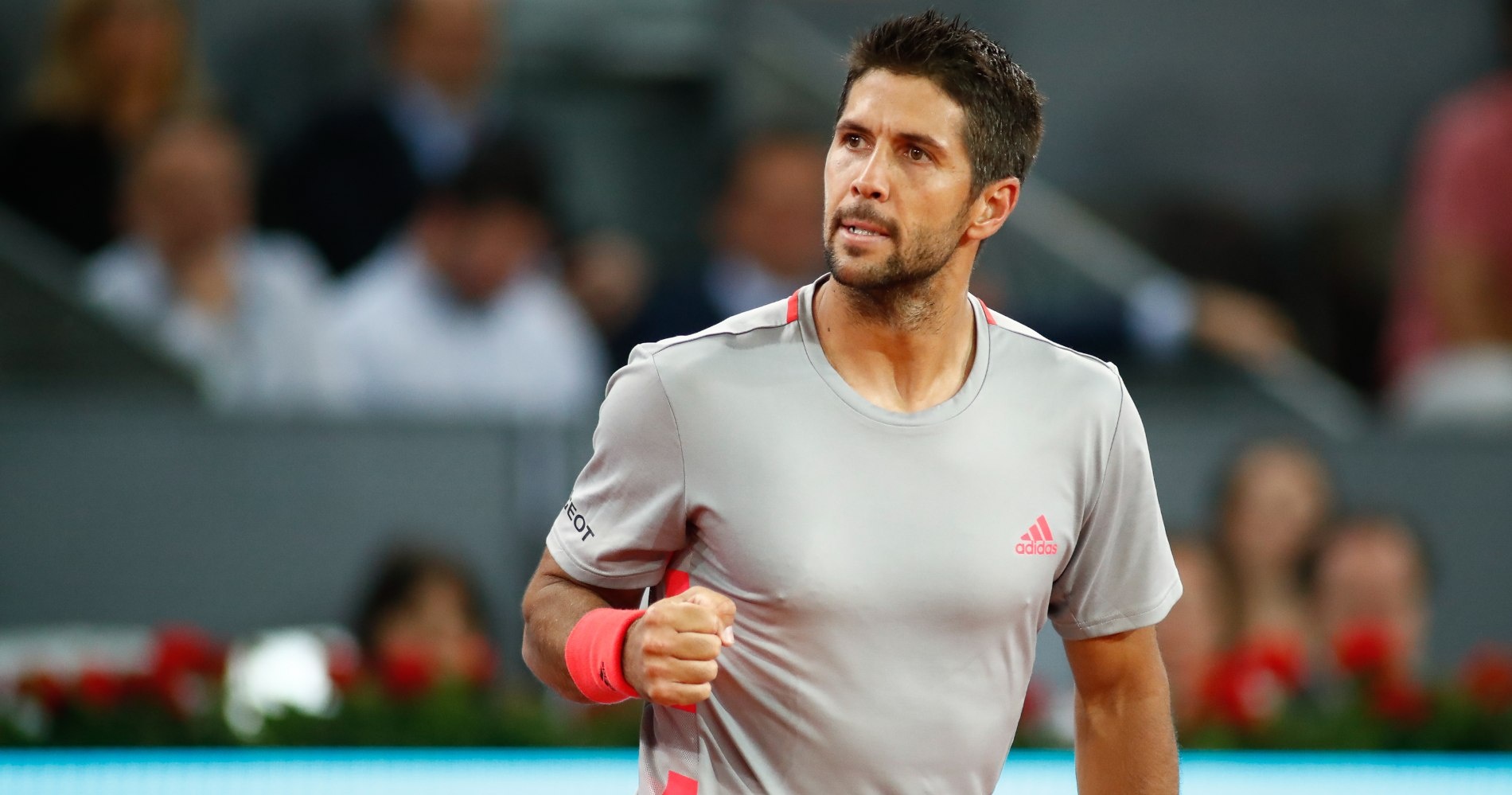 Fernando Verdasco Wallpapers