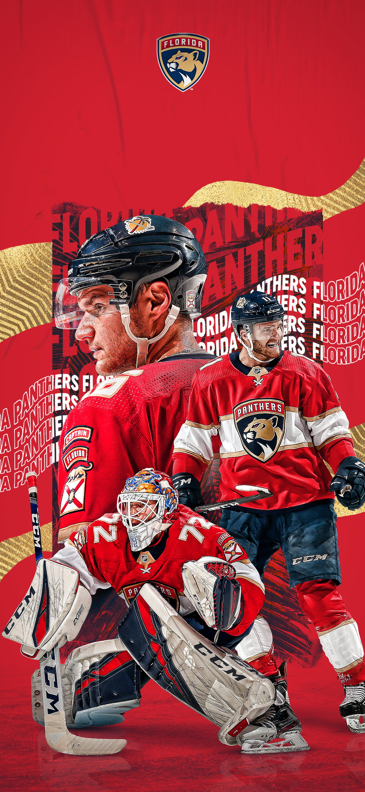 Florida Panthers Wallpapers