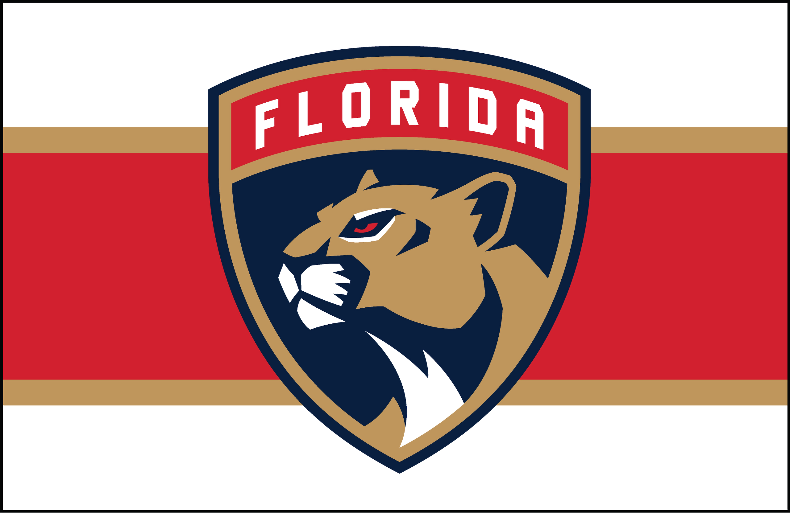 Florida Panthers Wallpapers