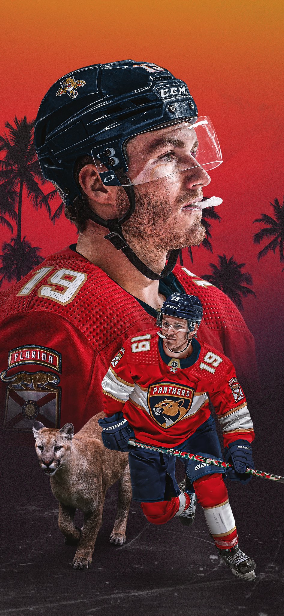 Florida Panthers Wallpapers