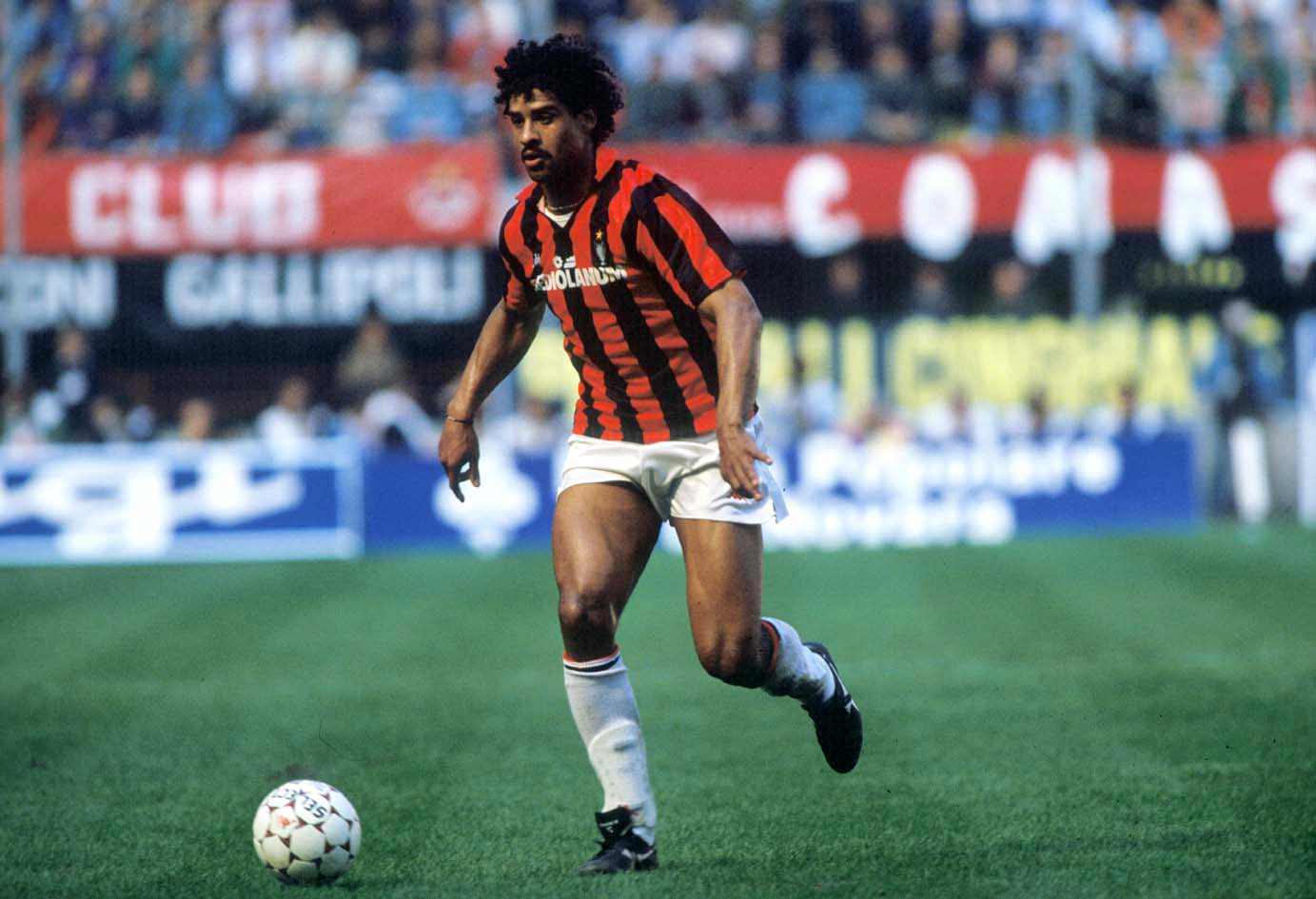 Frank Rijkaard Wallpapers