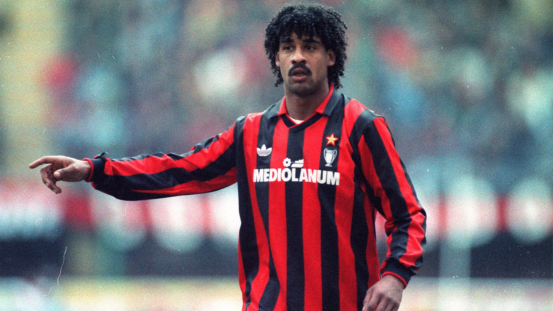 Frank Rijkaard Wallpapers