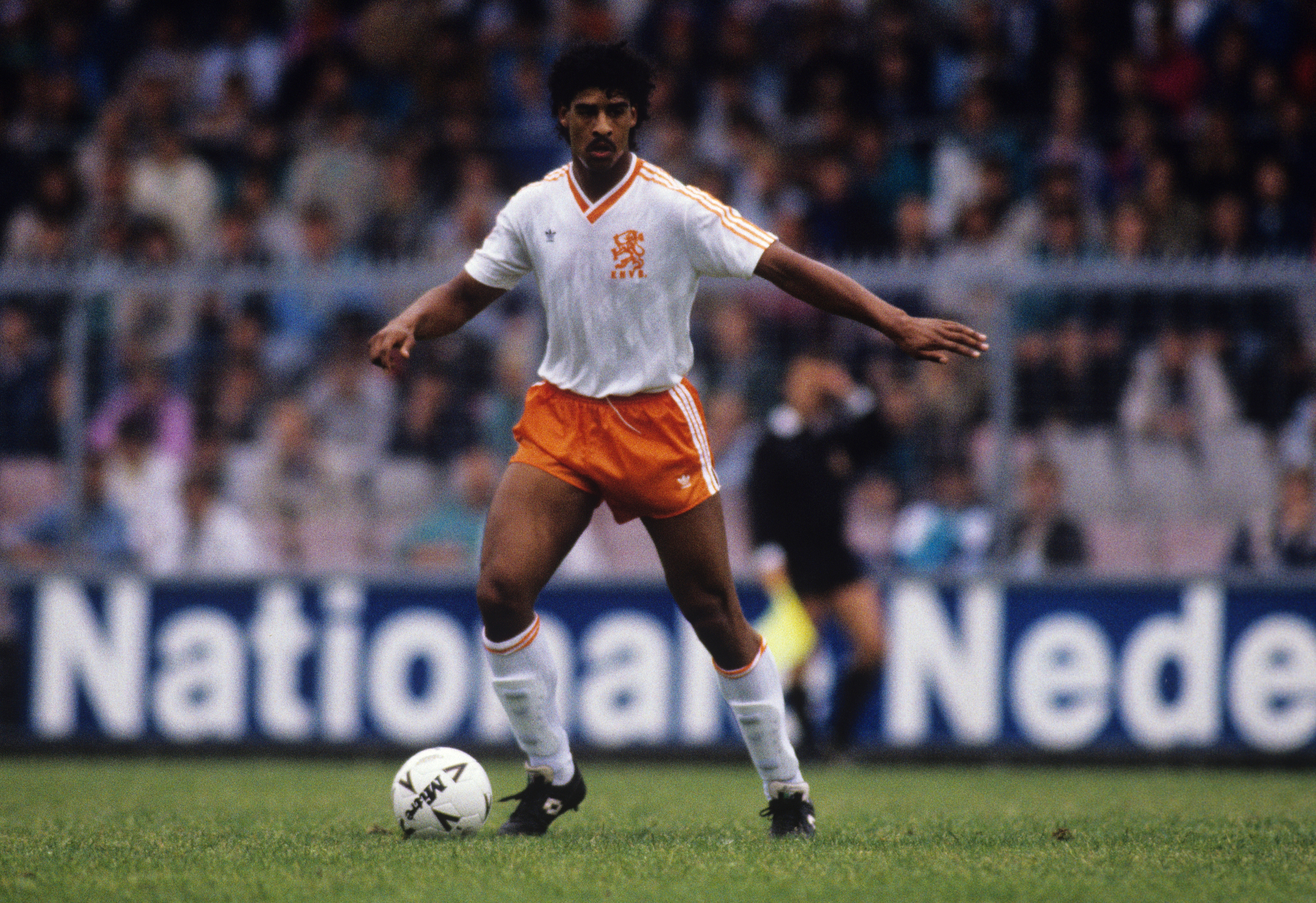 Frank Rijkaard Wallpapers