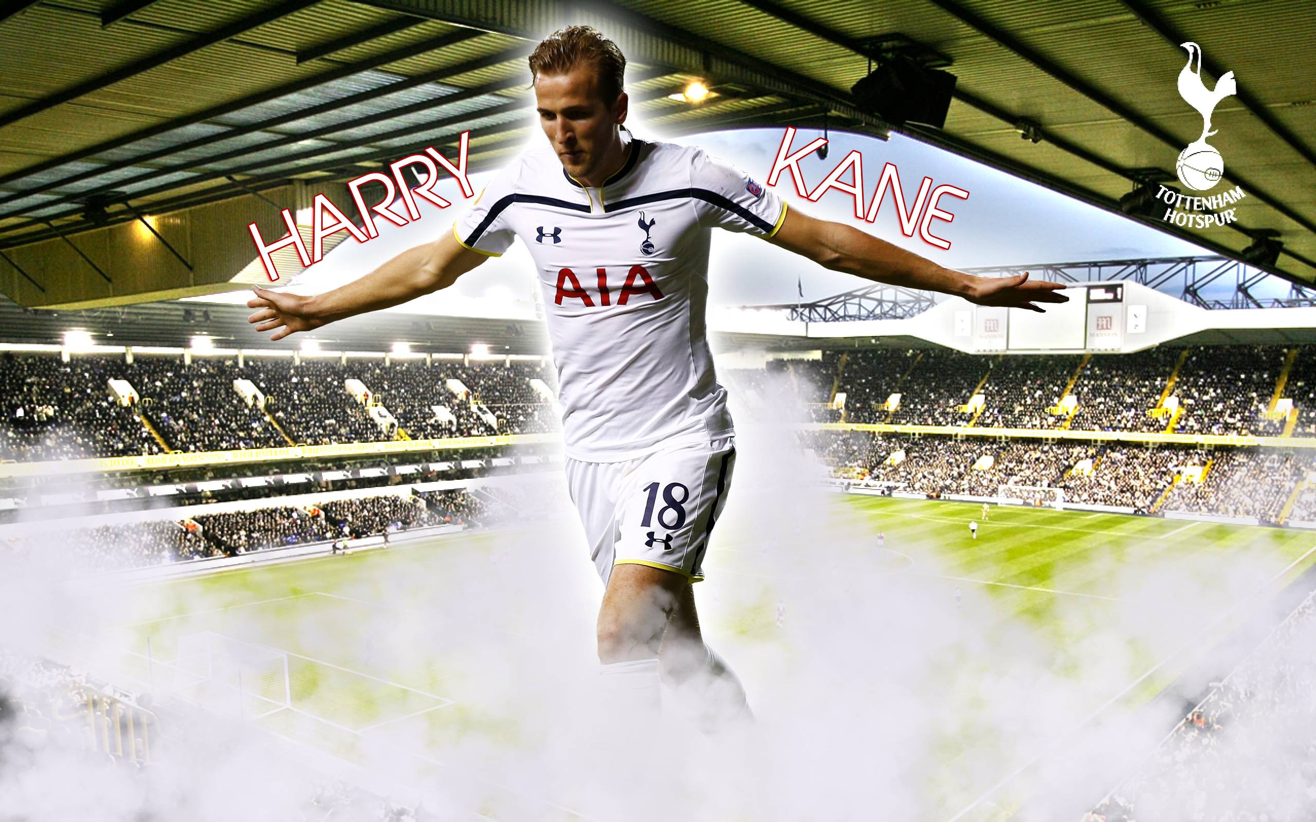 Harry Kane Tottenham Hotspur F.C. Wallpapers