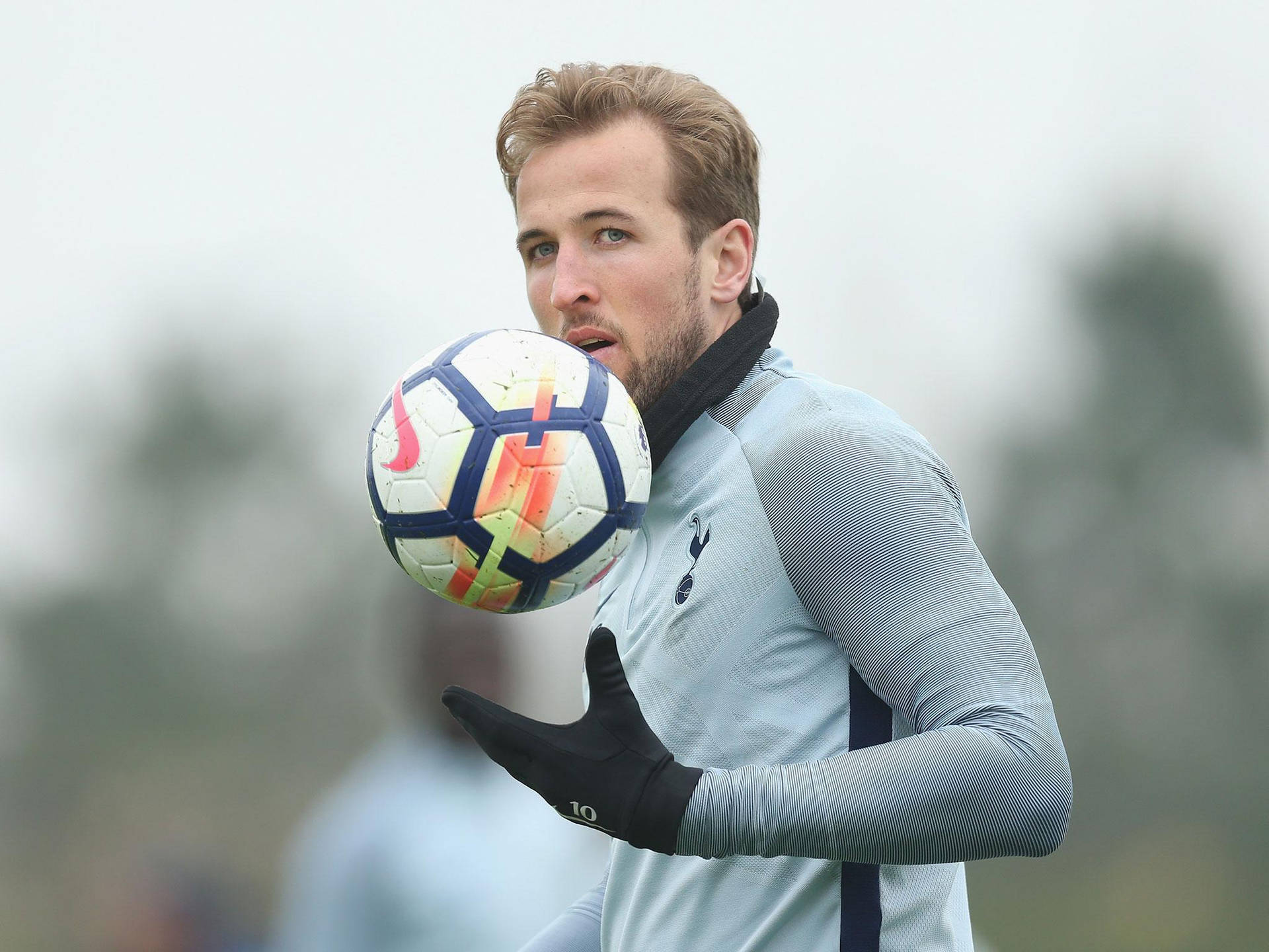 Harry Kane Tottenham Hotspur F.C. Wallpapers