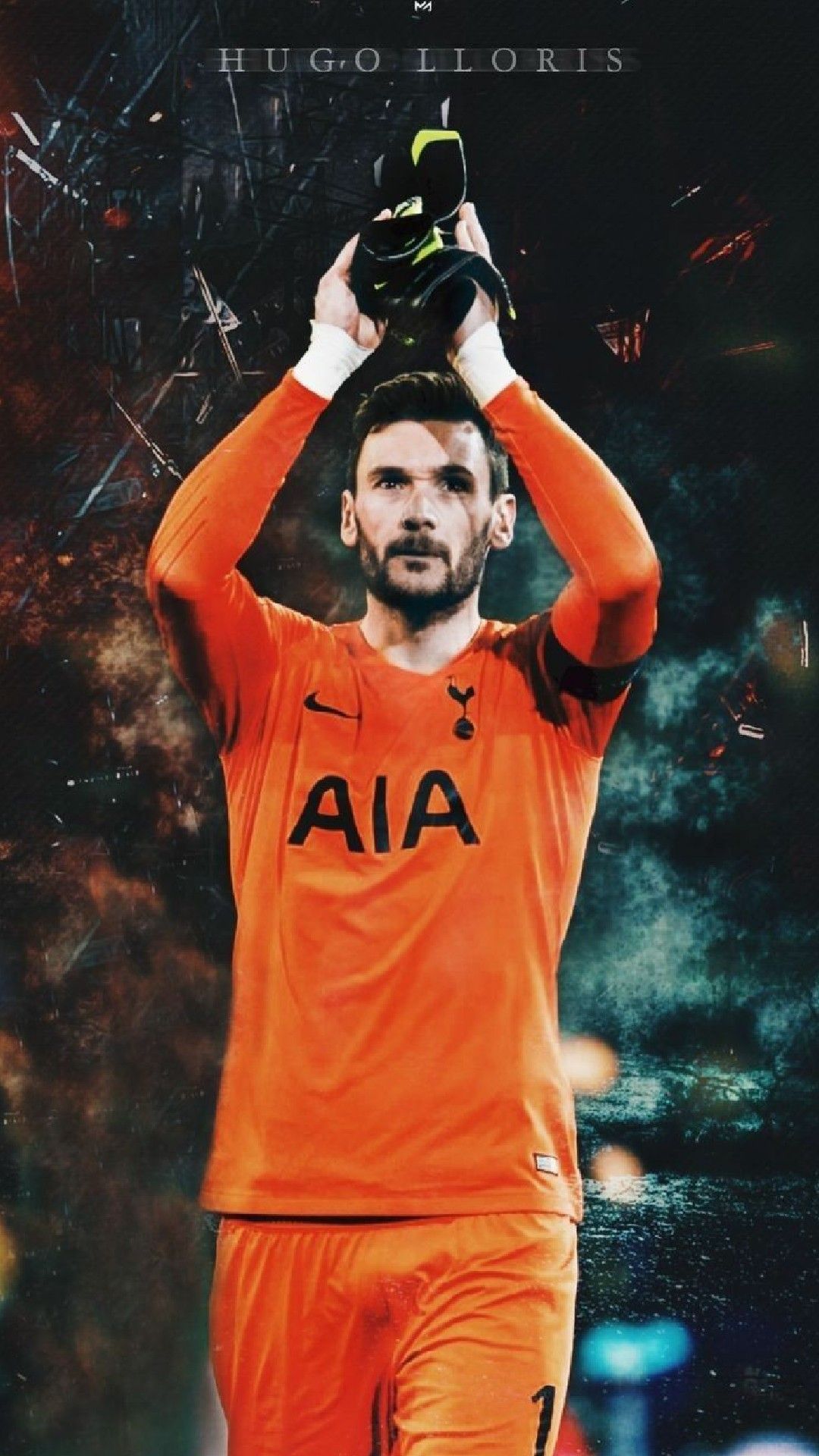 Hugo Lloris Wallpapers