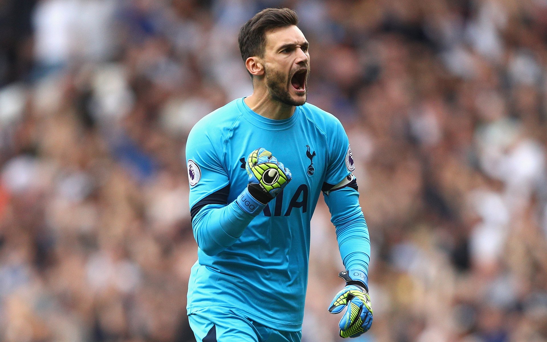 Hugo Lloris Wallpapers