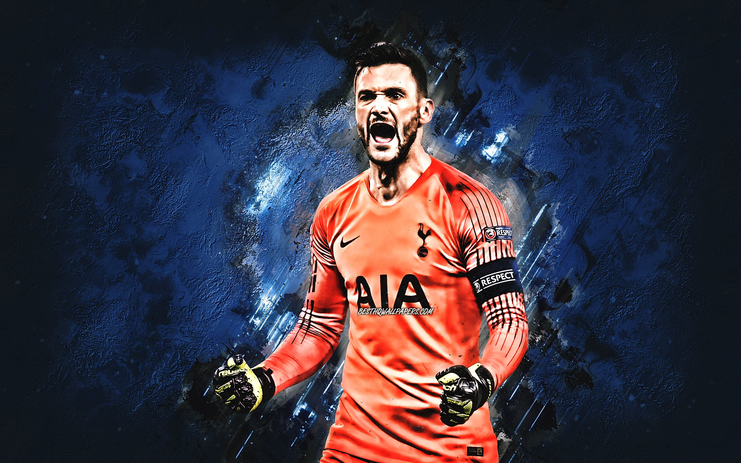 Hugo Lloris Wallpapers