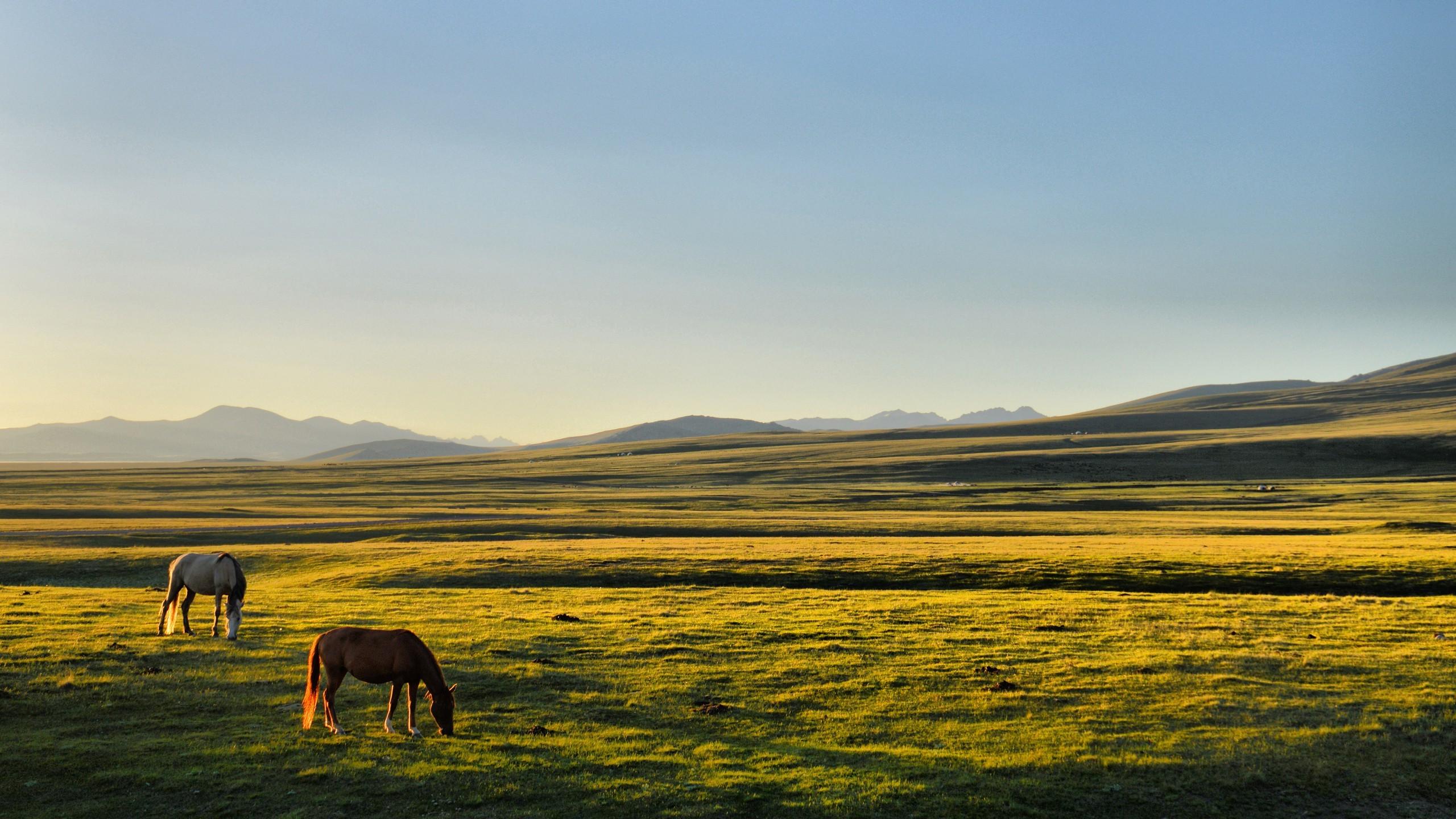 Kyrgyzstan National Football Team Wallpapers