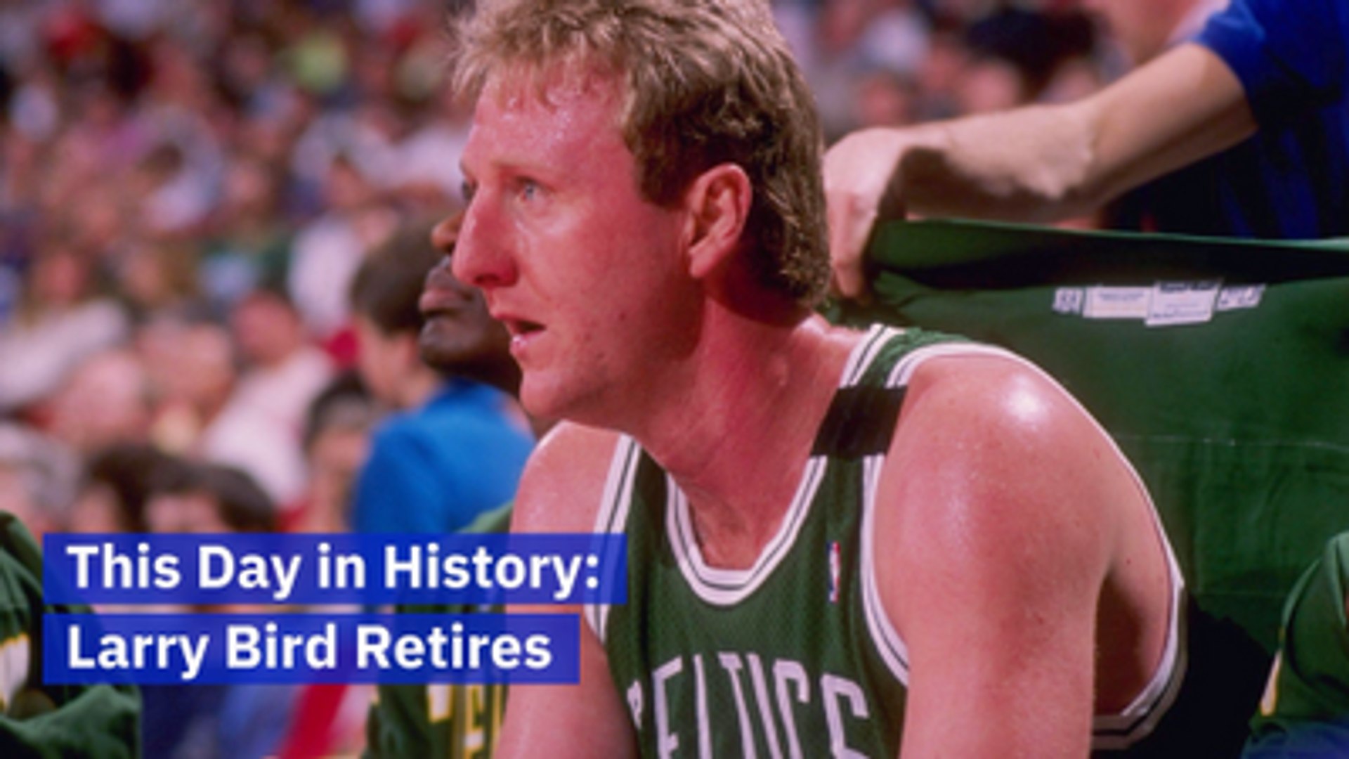 Larry Bird Wallpapers