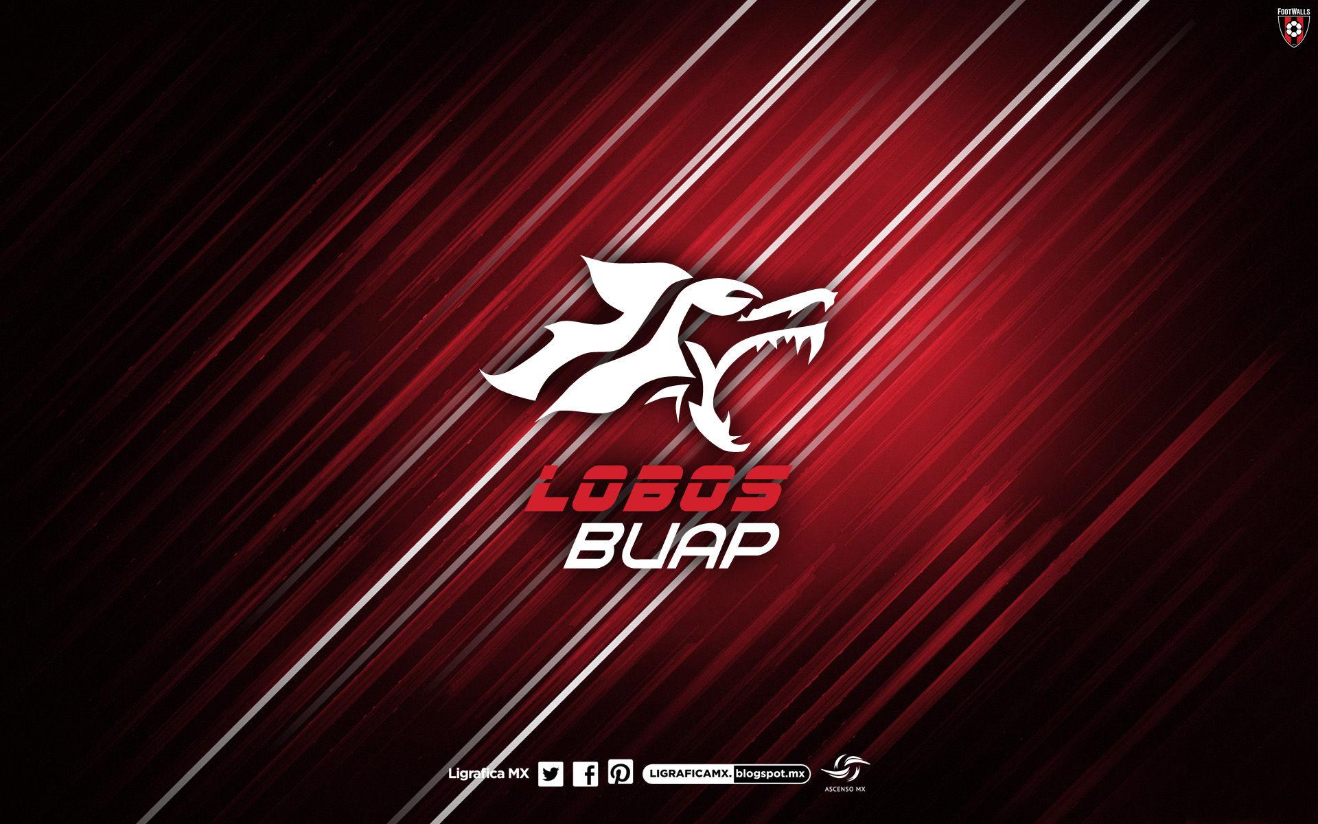 Lobos Buap Wallpapers