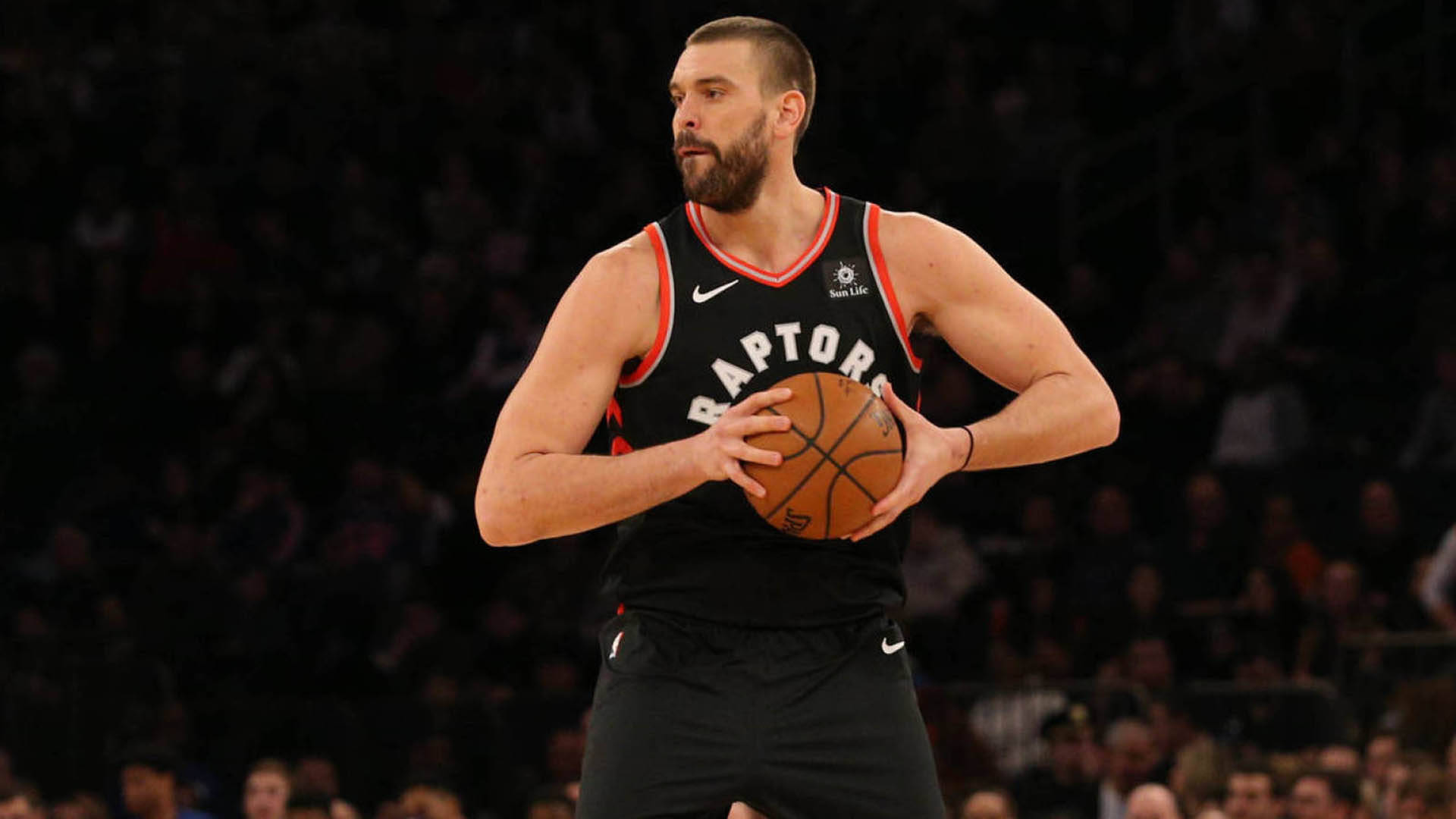 Marc Gasol Toronto Raptors Wallpapers