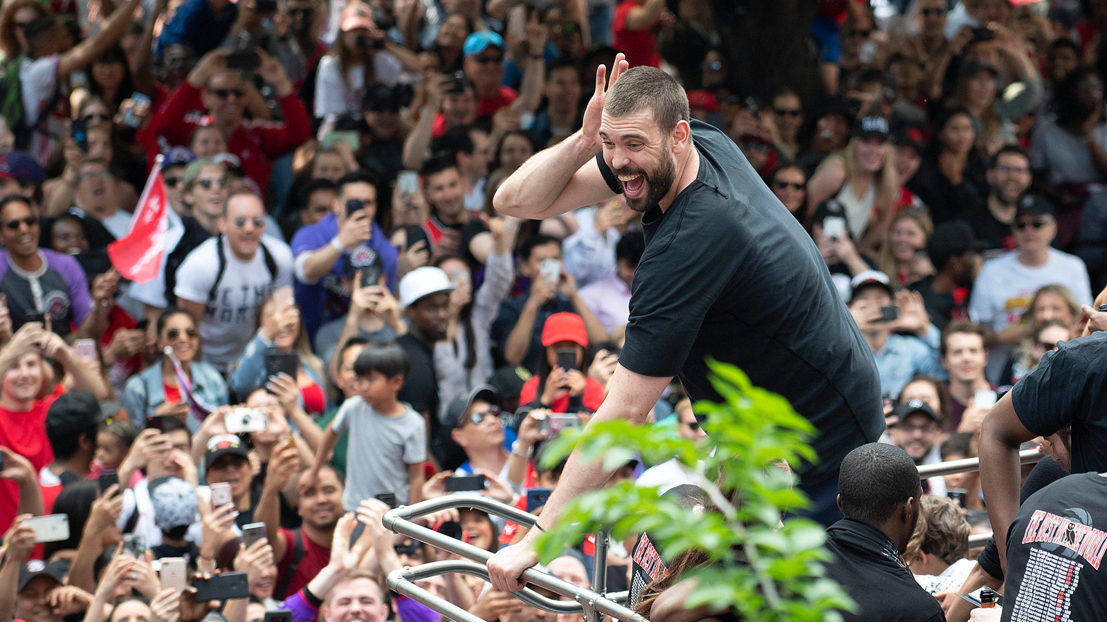 Marc Gasol Toronto Raptors Wallpapers