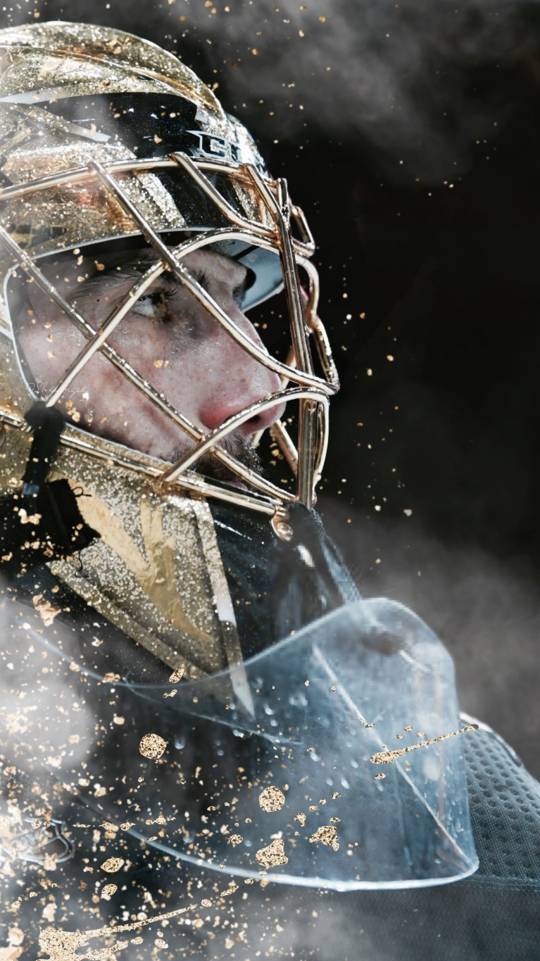 Marc-Andre Fleury Wallpapers