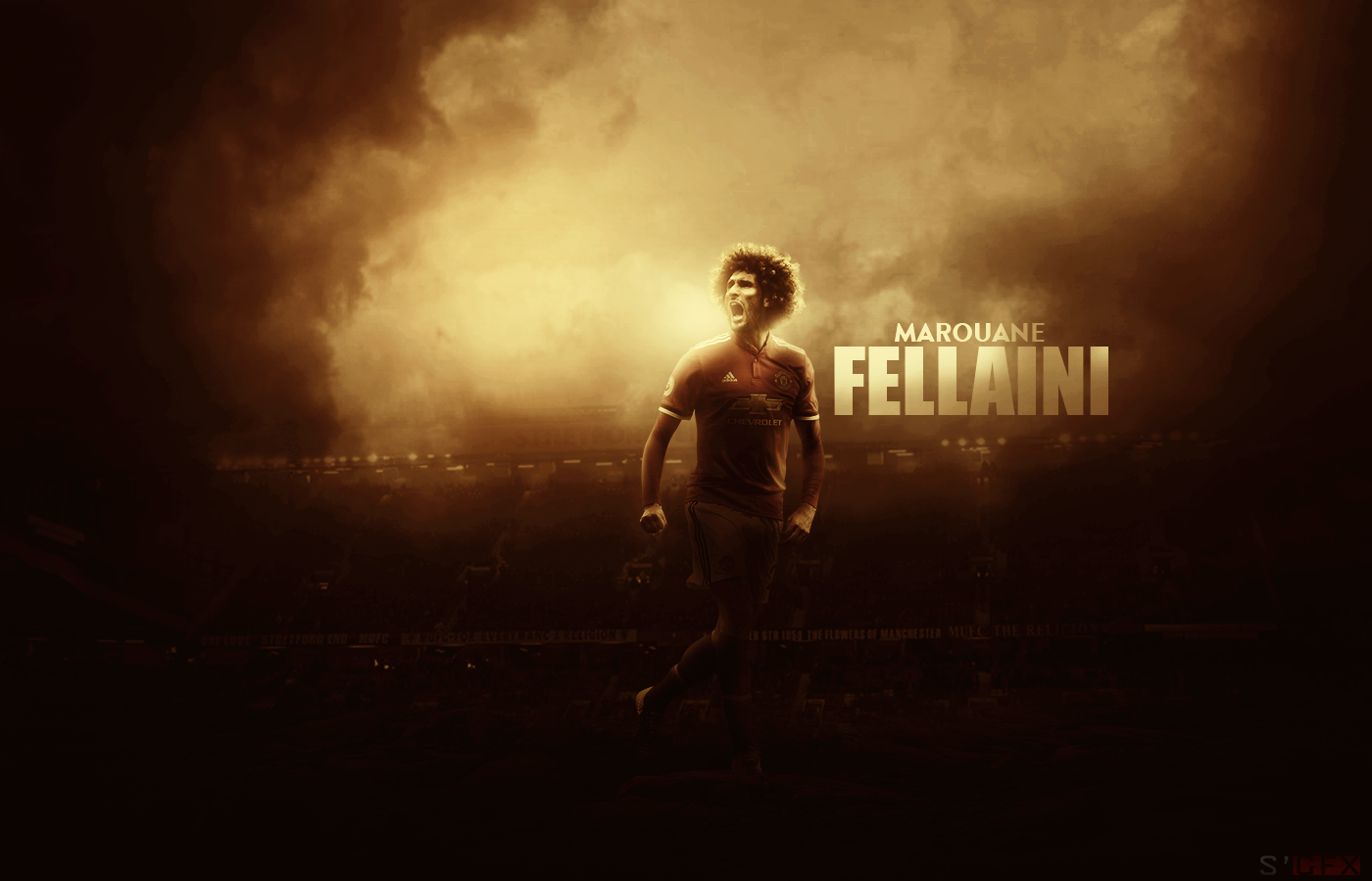 Marouane Fellaini Wallpapers