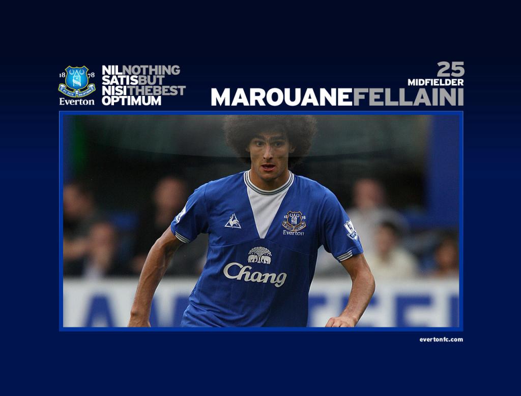 Marouane Fellaini Wallpapers