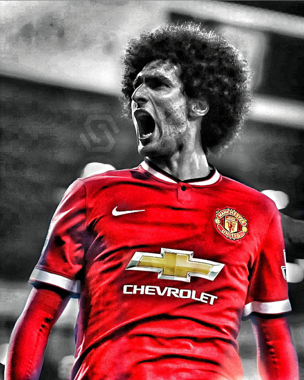 Marouane Fellaini Wallpapers