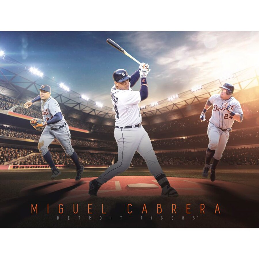 Miguel Cabrera Wallpapers