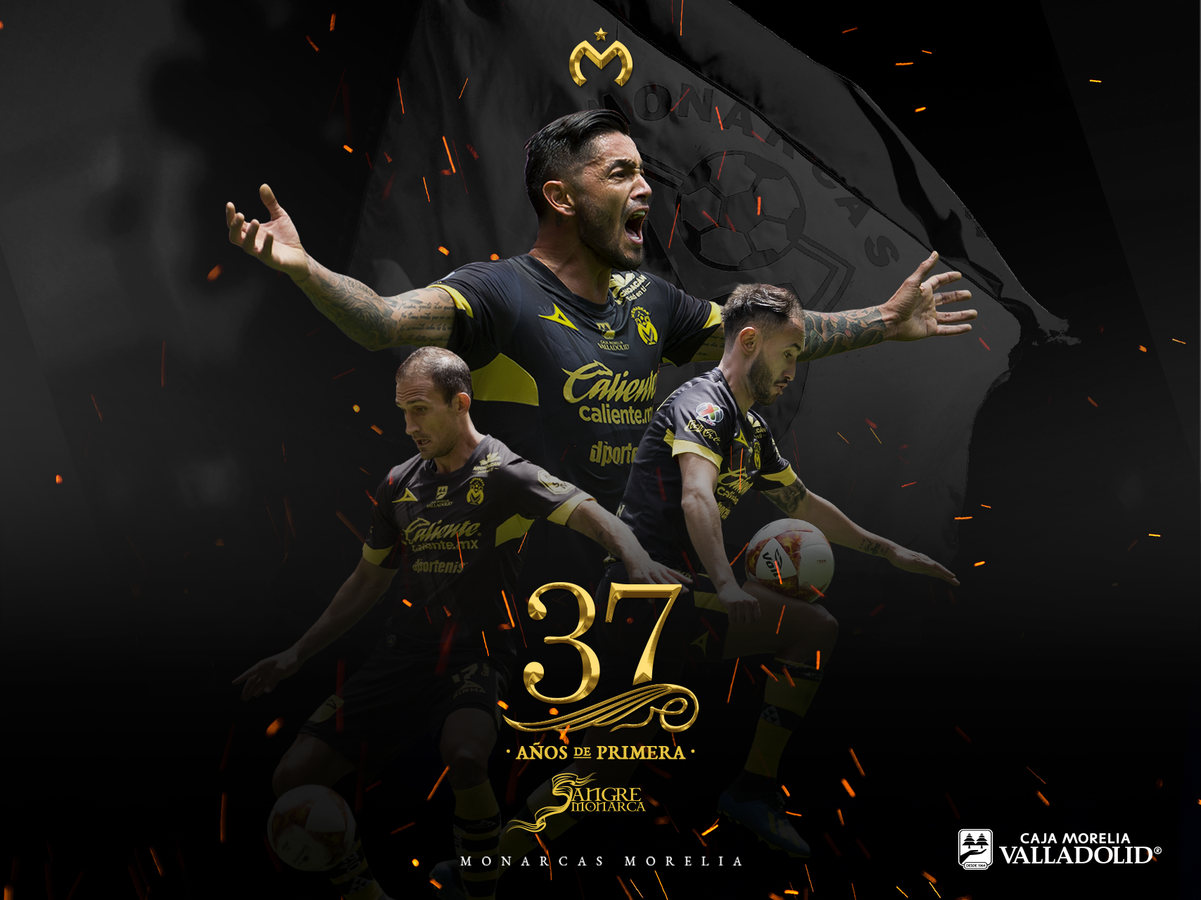 Monarcas Morelia Wallpapers