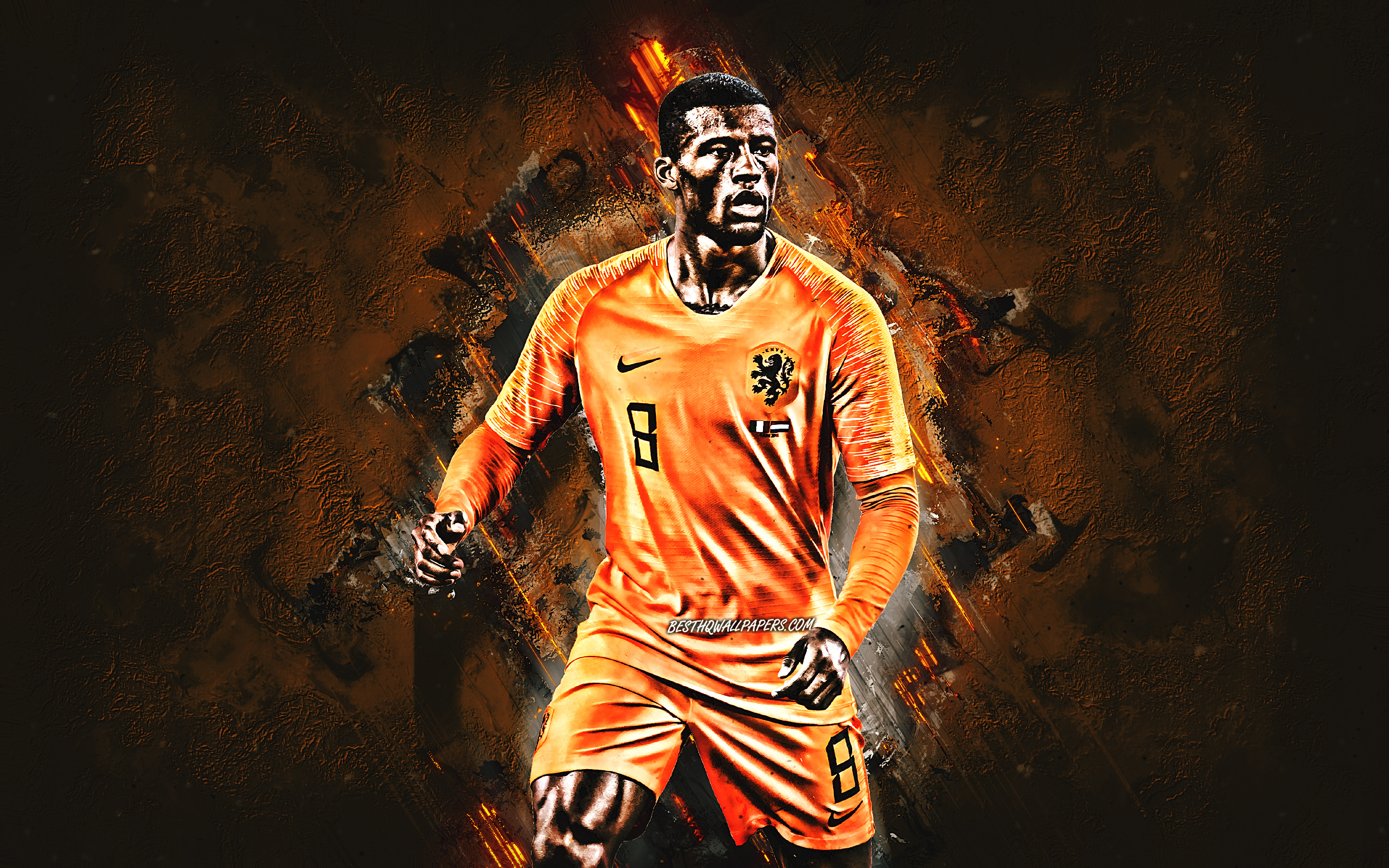 Netherlands National Football Team Wallpapers