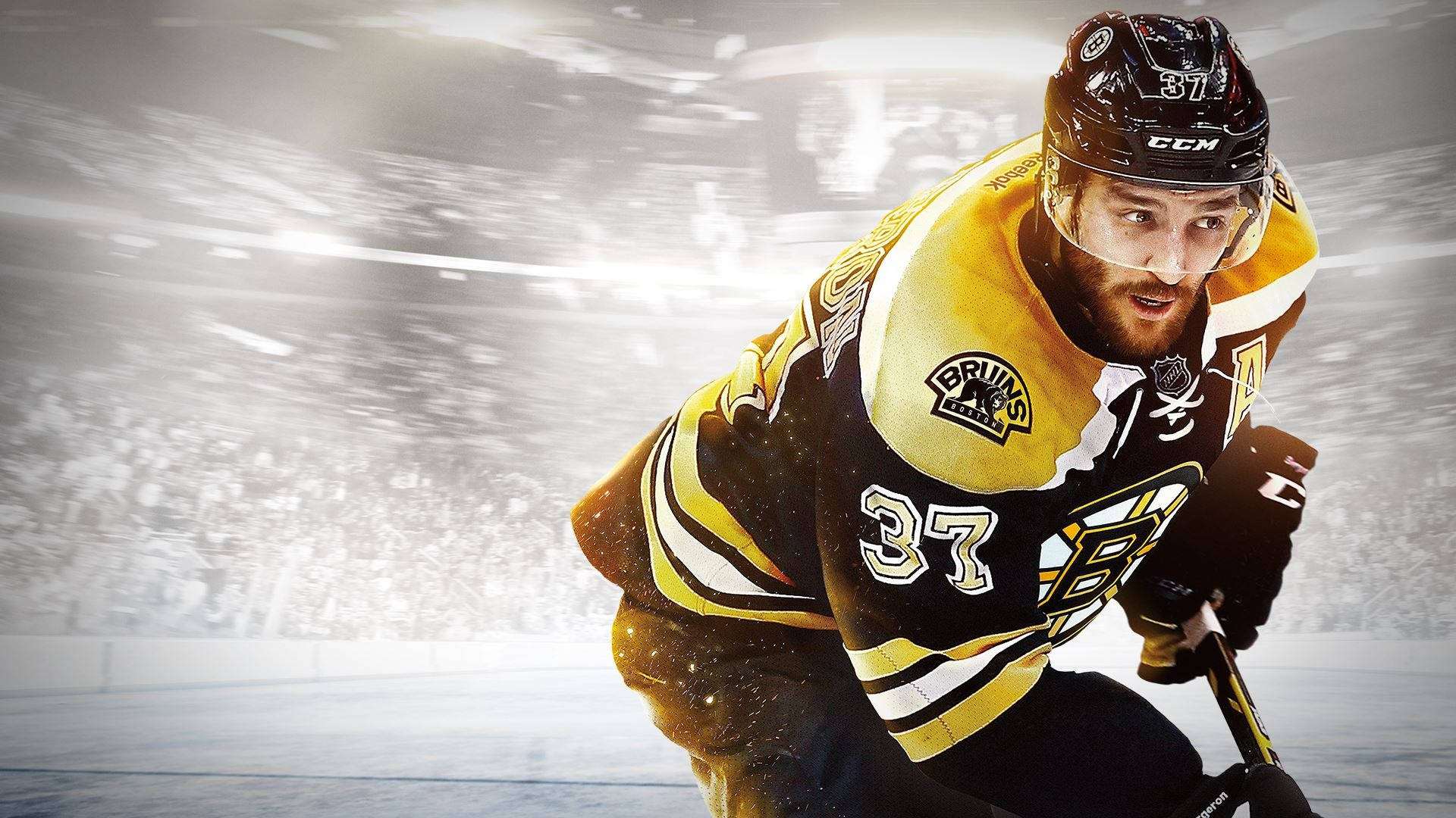 Patrice Bergeron Wallpapers