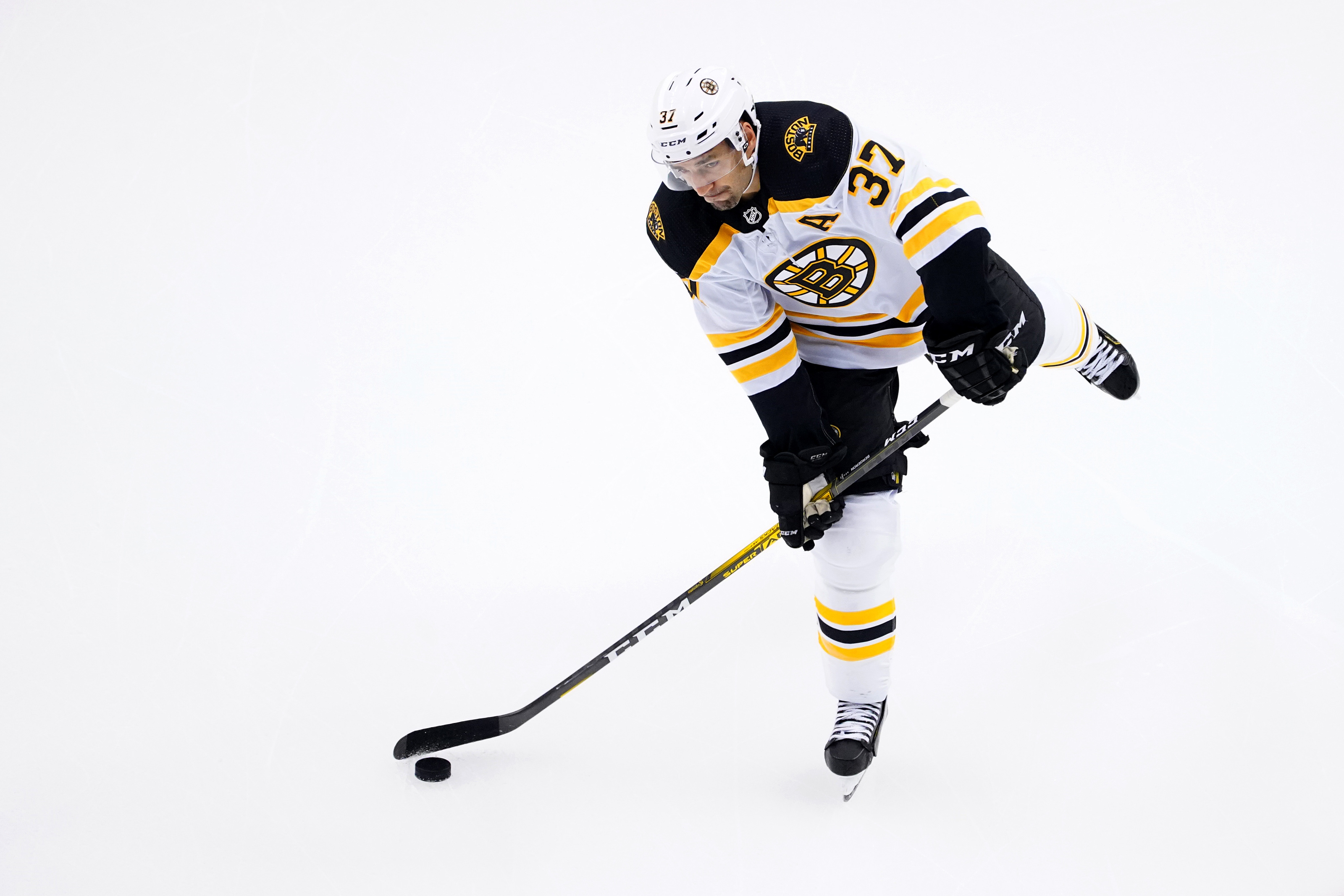 Patrice Bergeron Wallpapers