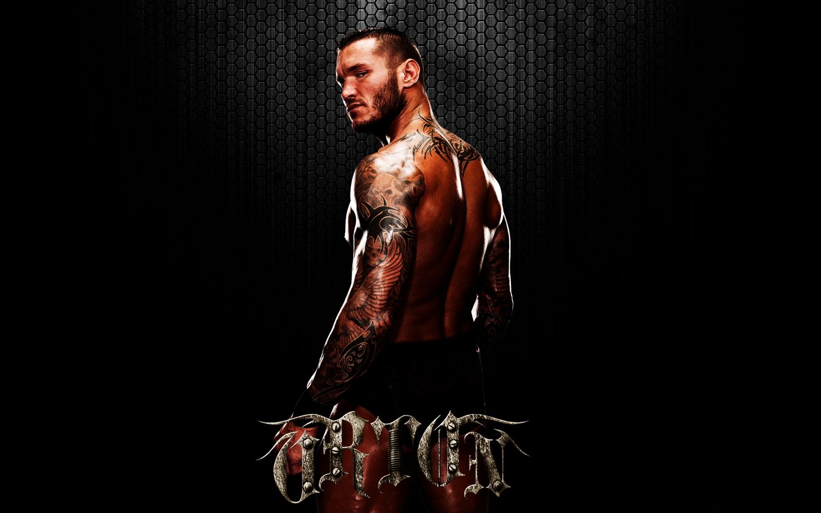 Randy Orton Wallpapers