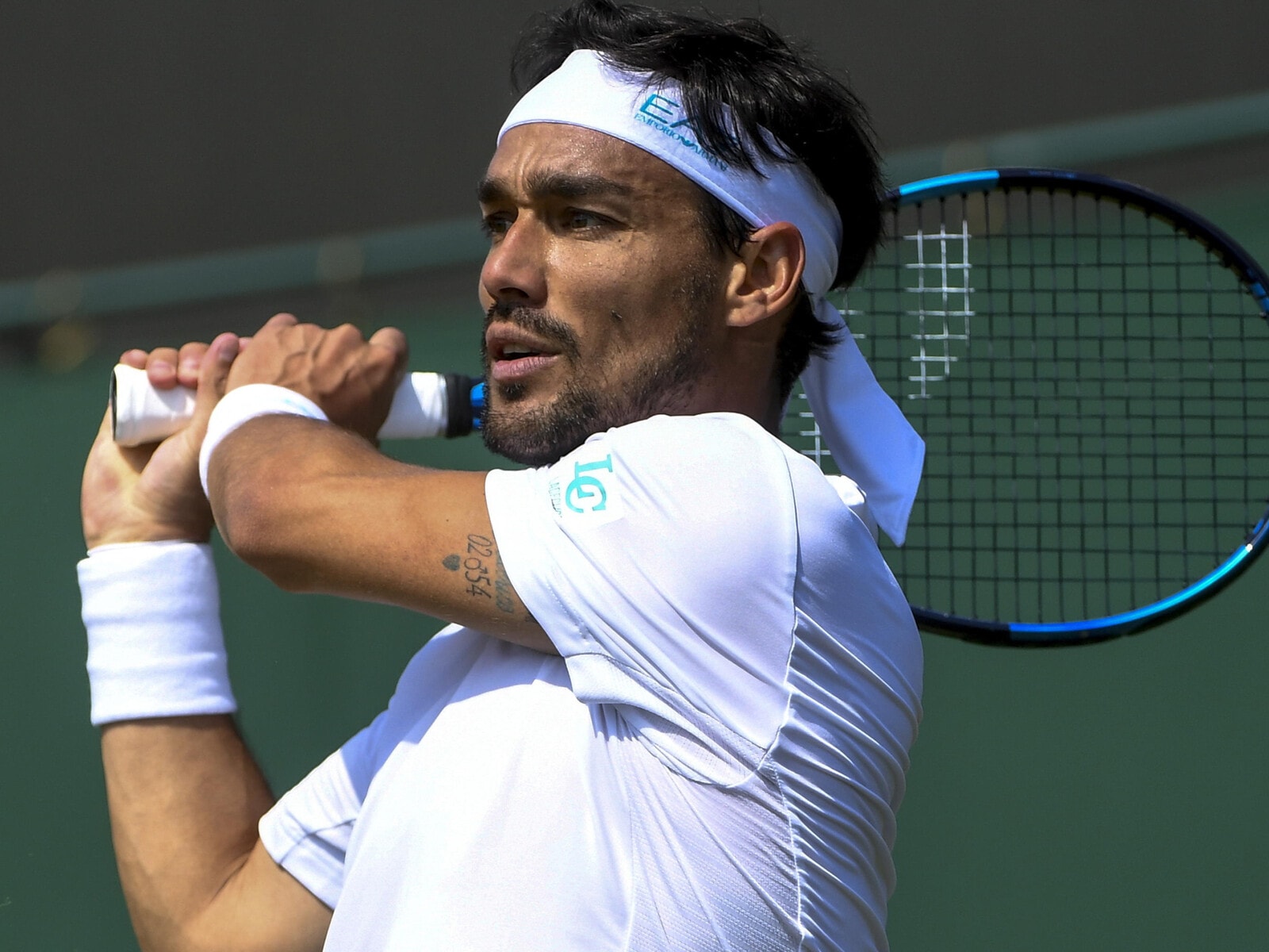 Rimonta Fognini Wallpapers