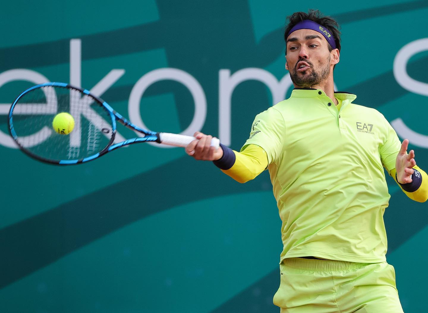 Rimonta Fognini Wallpapers