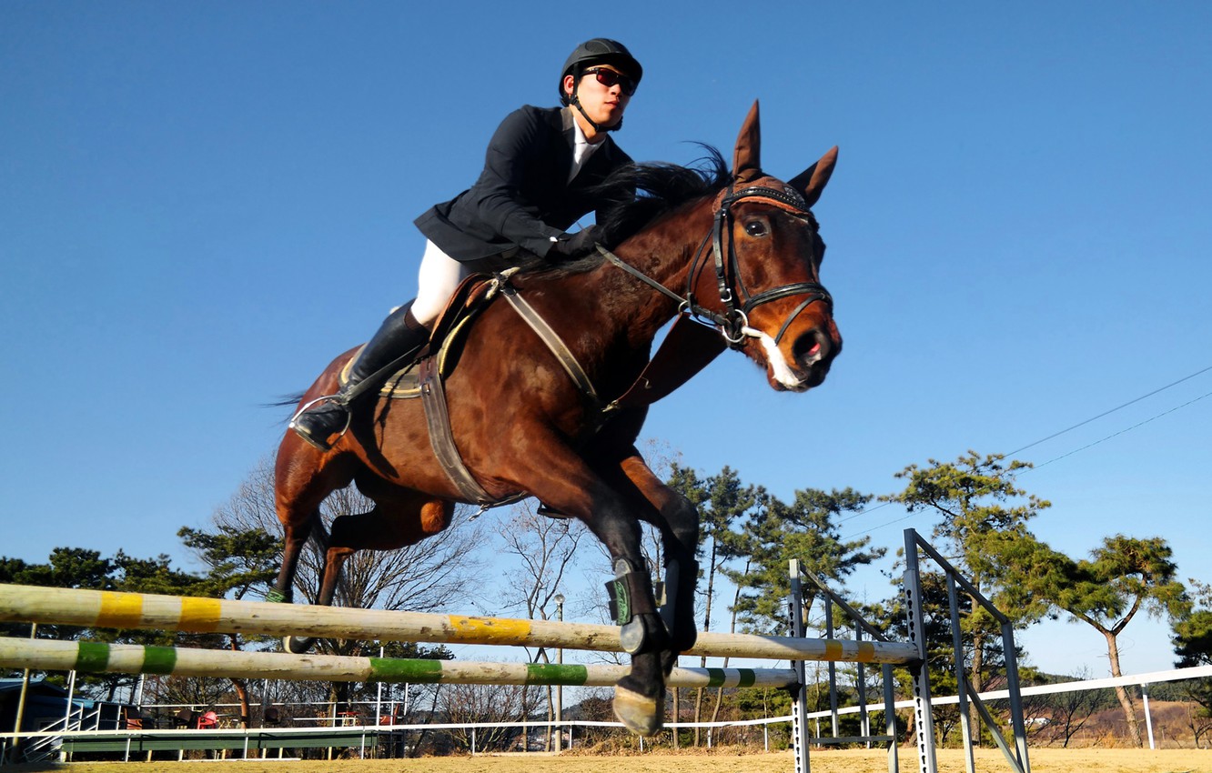 Show Jumping Wallpapers