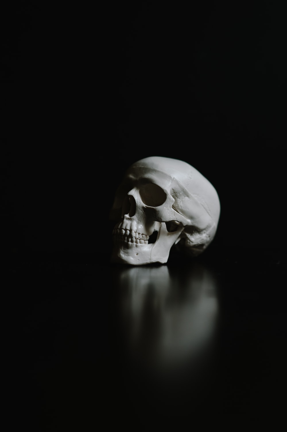 Skeleton Wallpapers