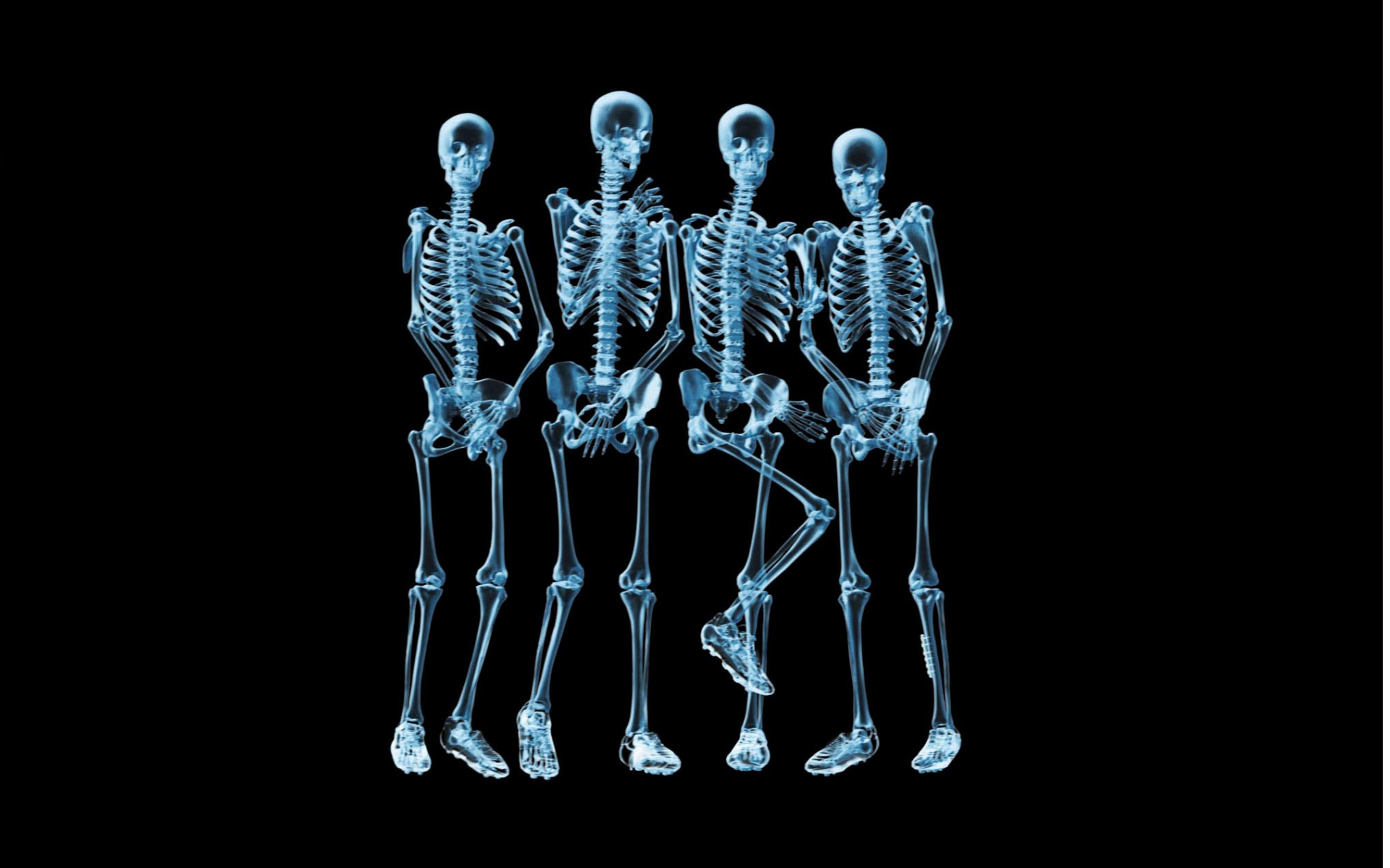 Skeleton Wallpapers