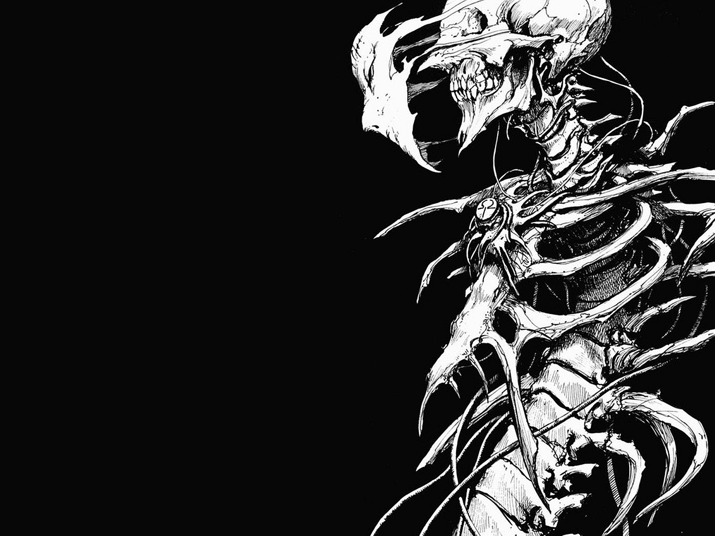 Skeleton Wallpapers